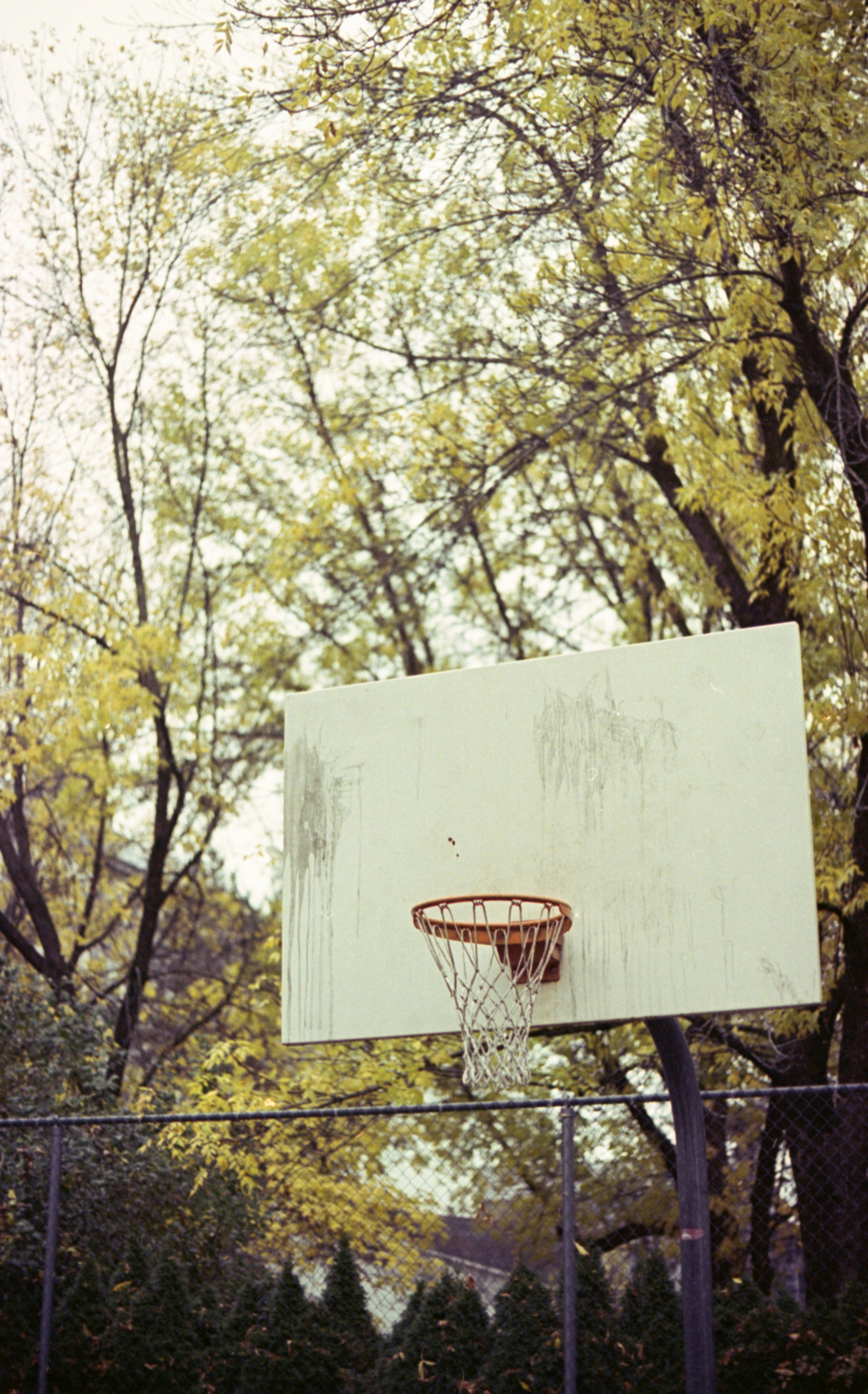 Photo by austin_7792