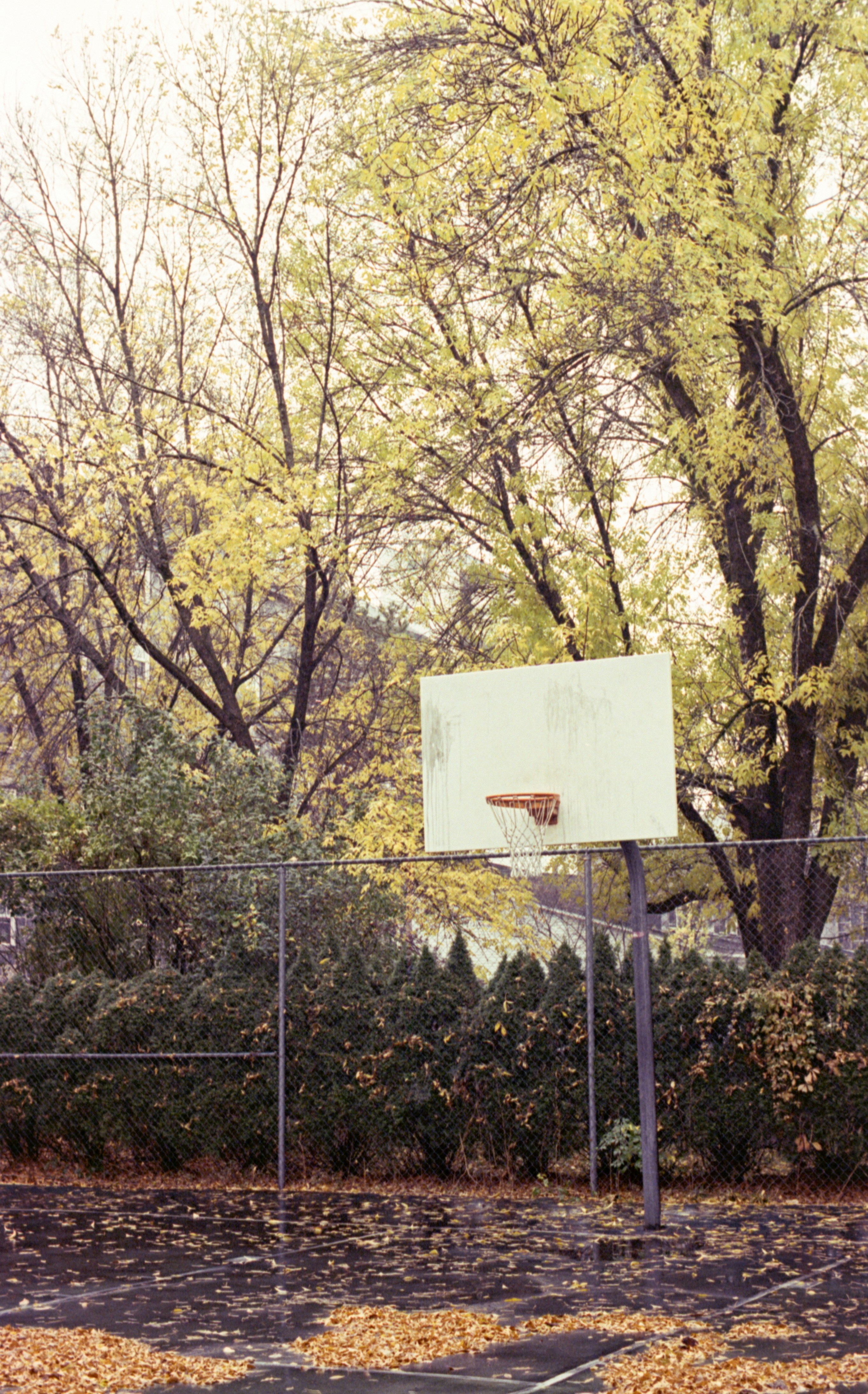 Photo by austin_7792