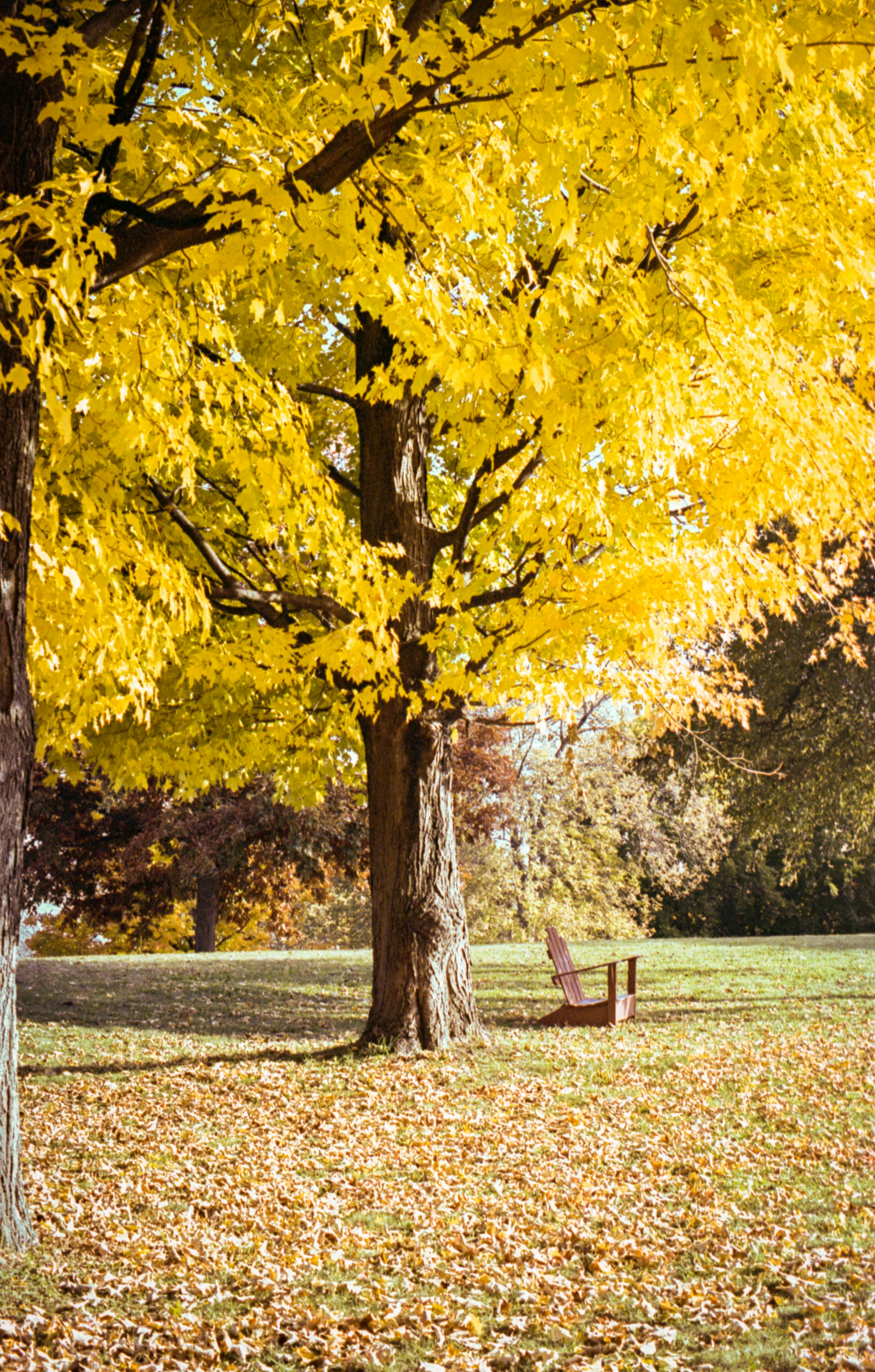 Photo by austin_7792