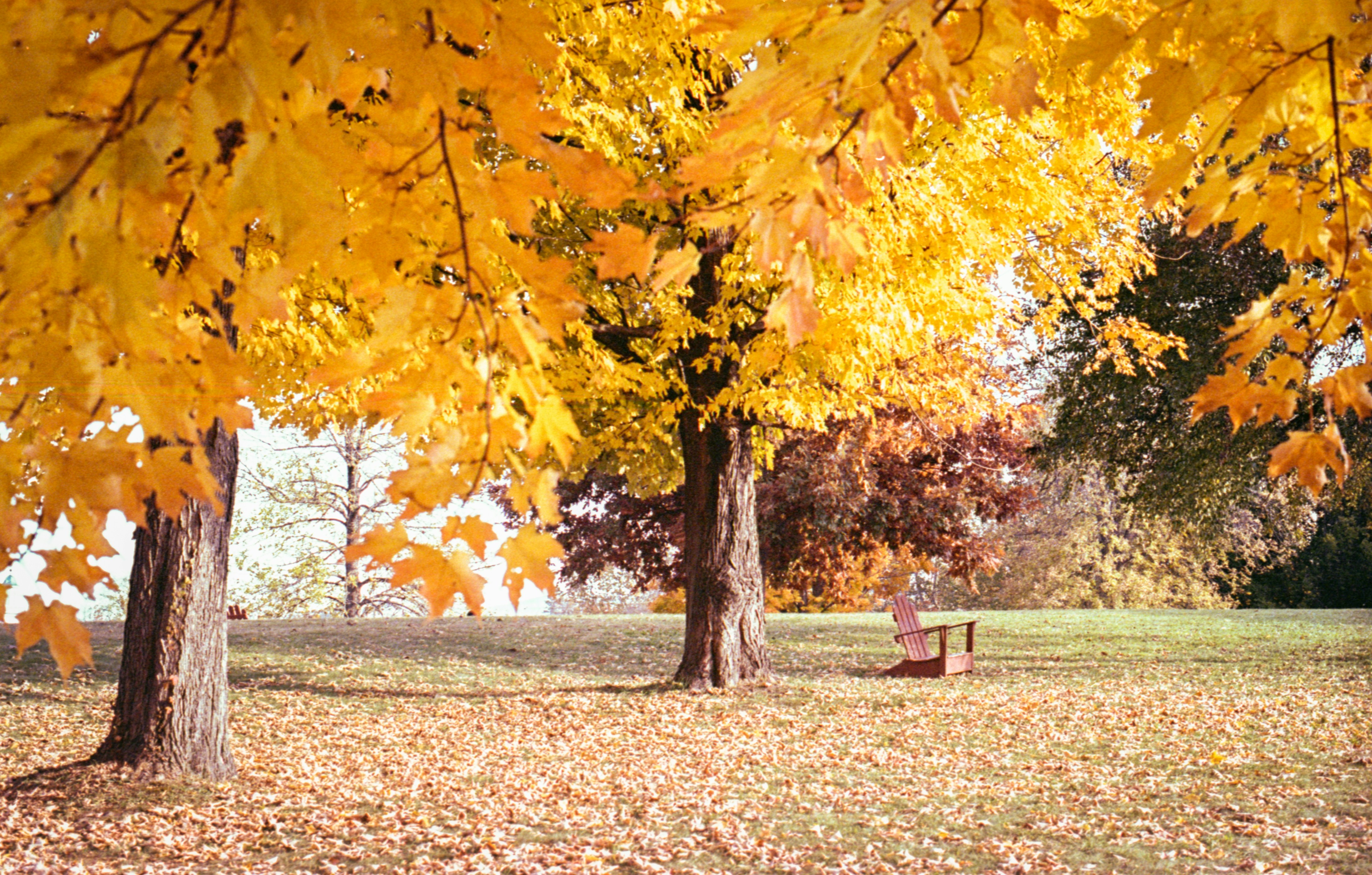 Photo by austin_7792