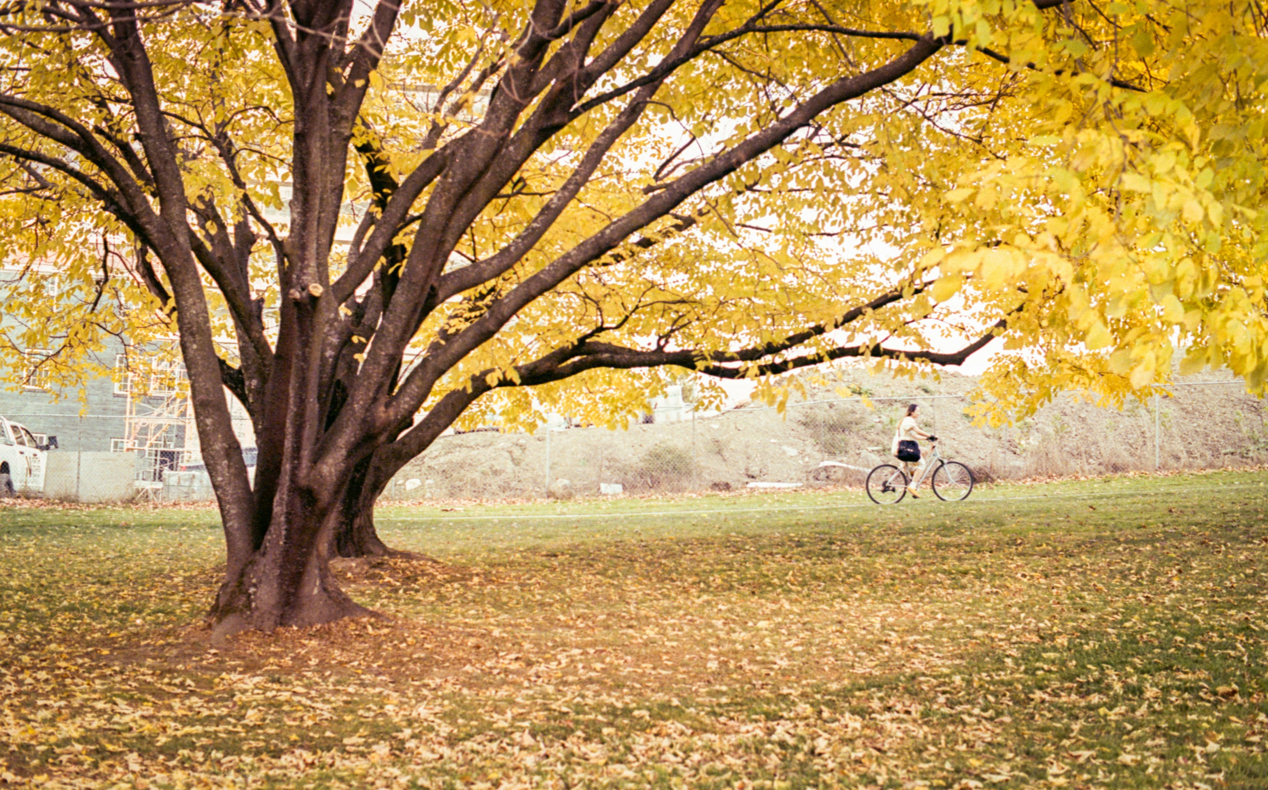 Photo by austin_7792