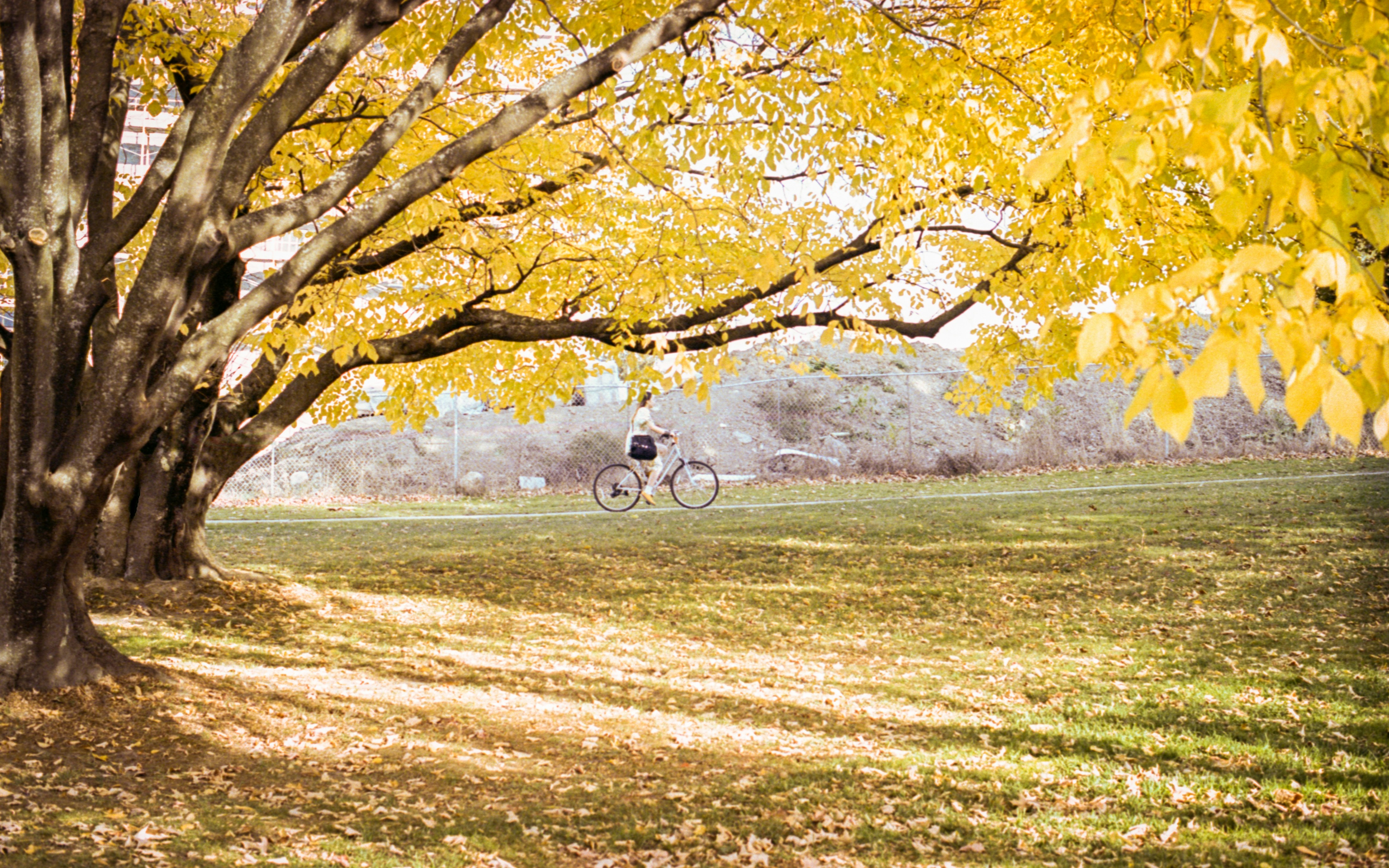 Photo by austin_7792