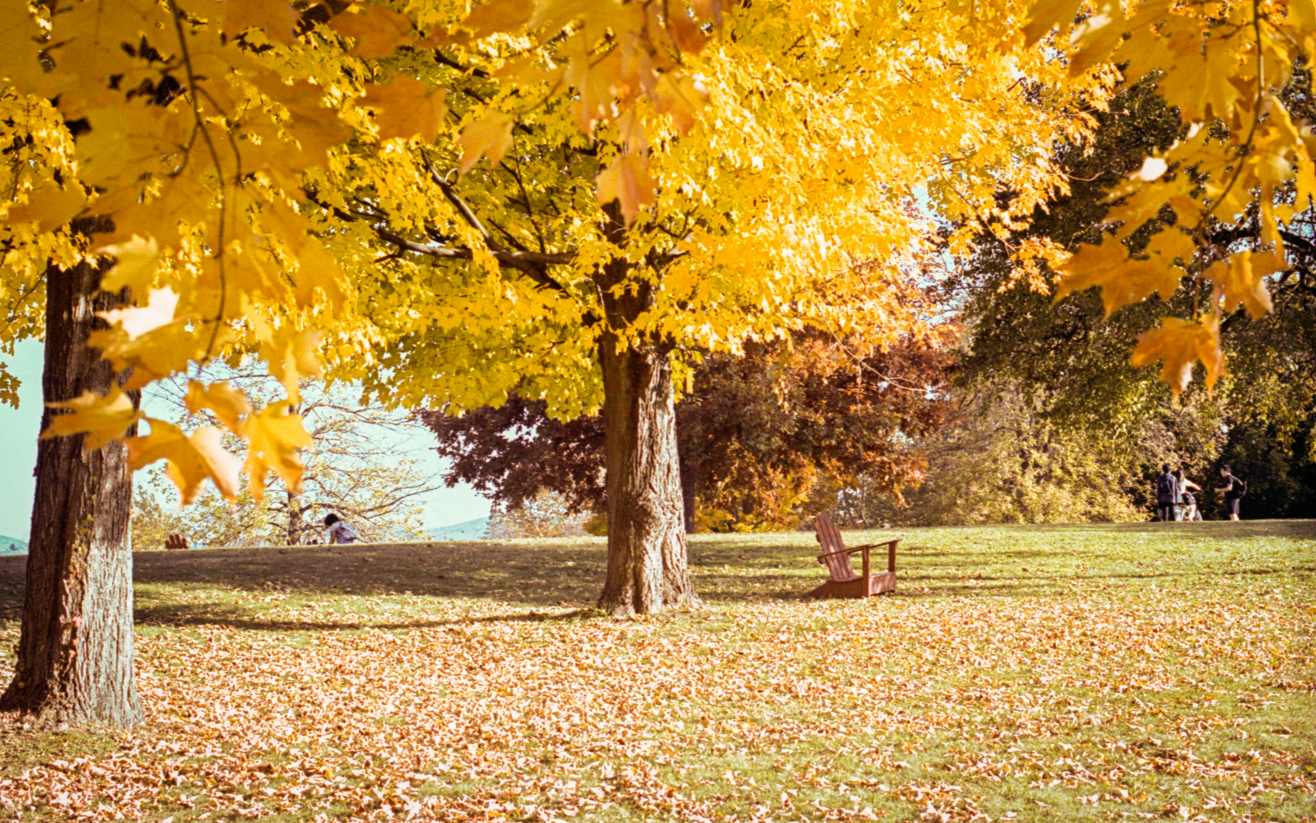 Photo by austin_7792