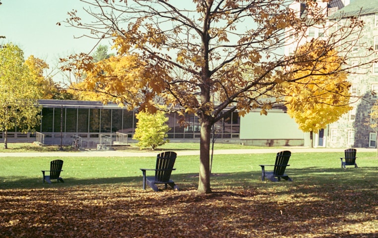 Bluffton University