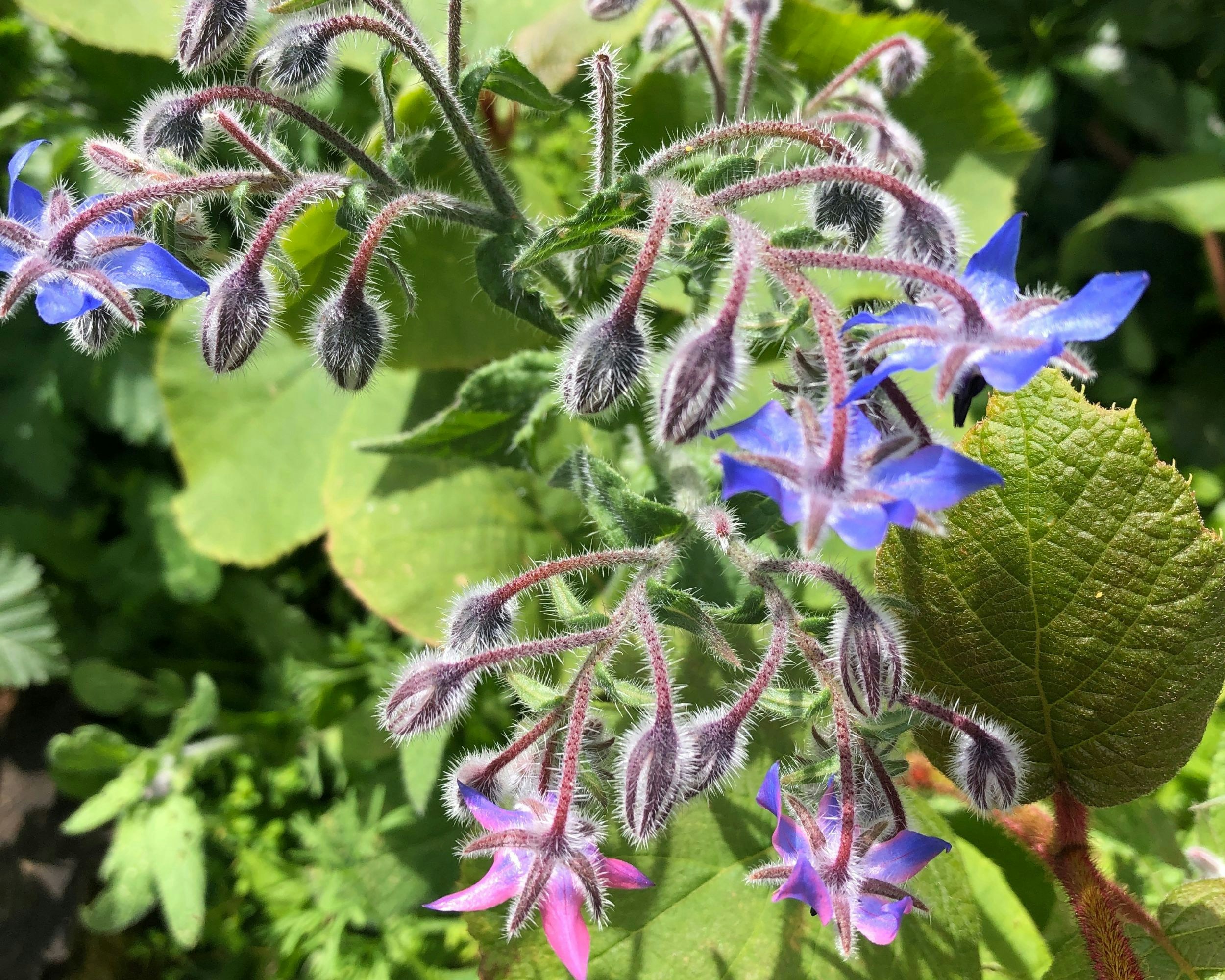 Photo by live_byb1479