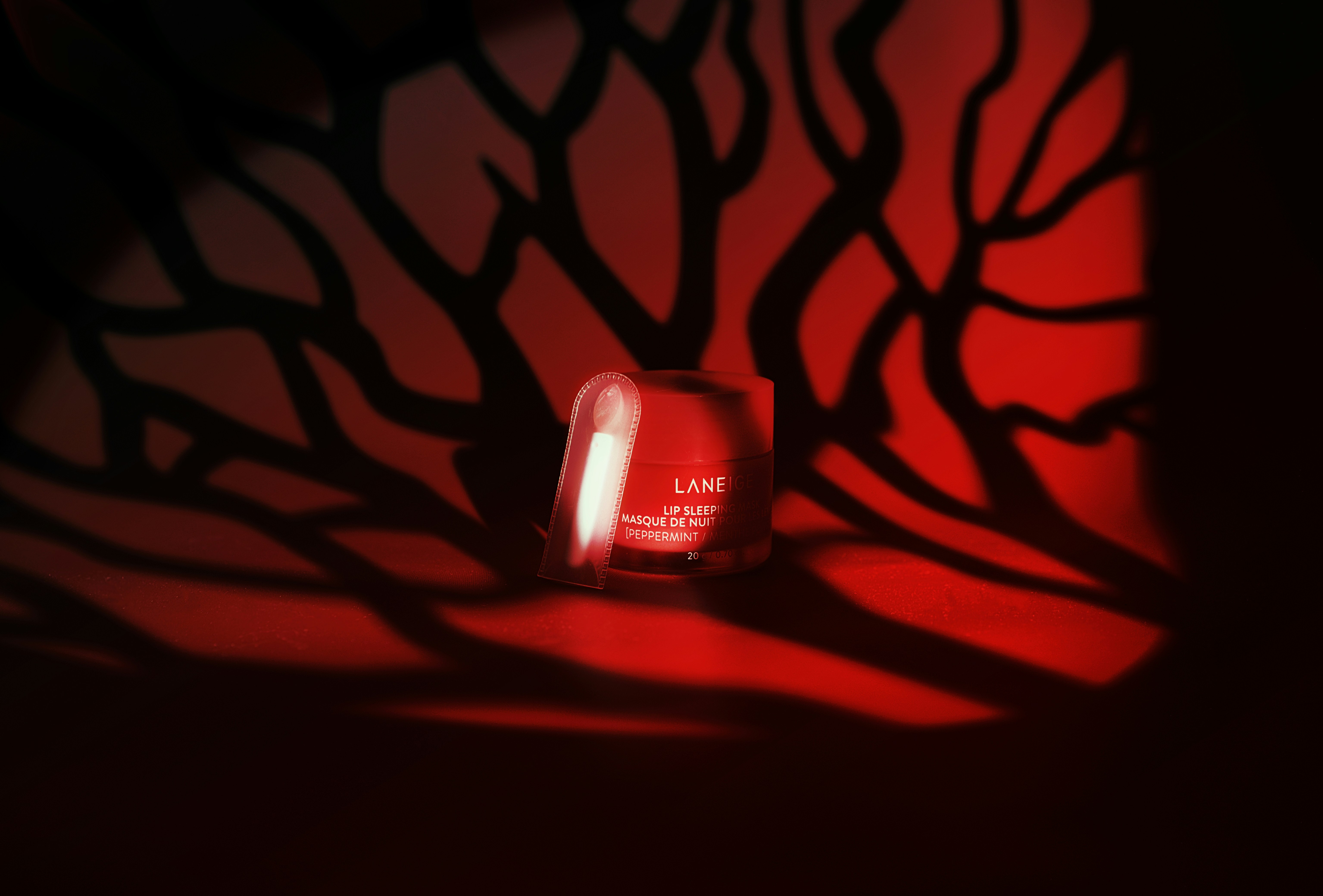 A small container of Laneige lip sleeping mask on a dark backdrop with red tree branch lighting.