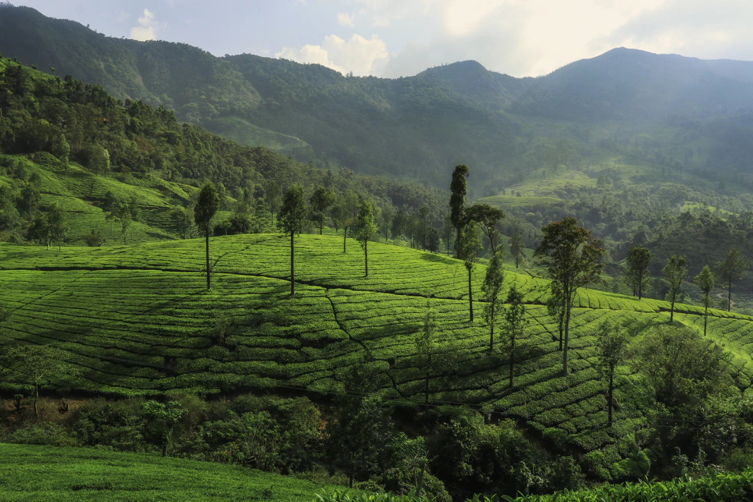 Tanya Khanijow: viajera india en solitario, de Bután a Sikkim, guías baratas Tanya Khanijow: viajera india en solitario, de Bután a Sikkim, guías baratas