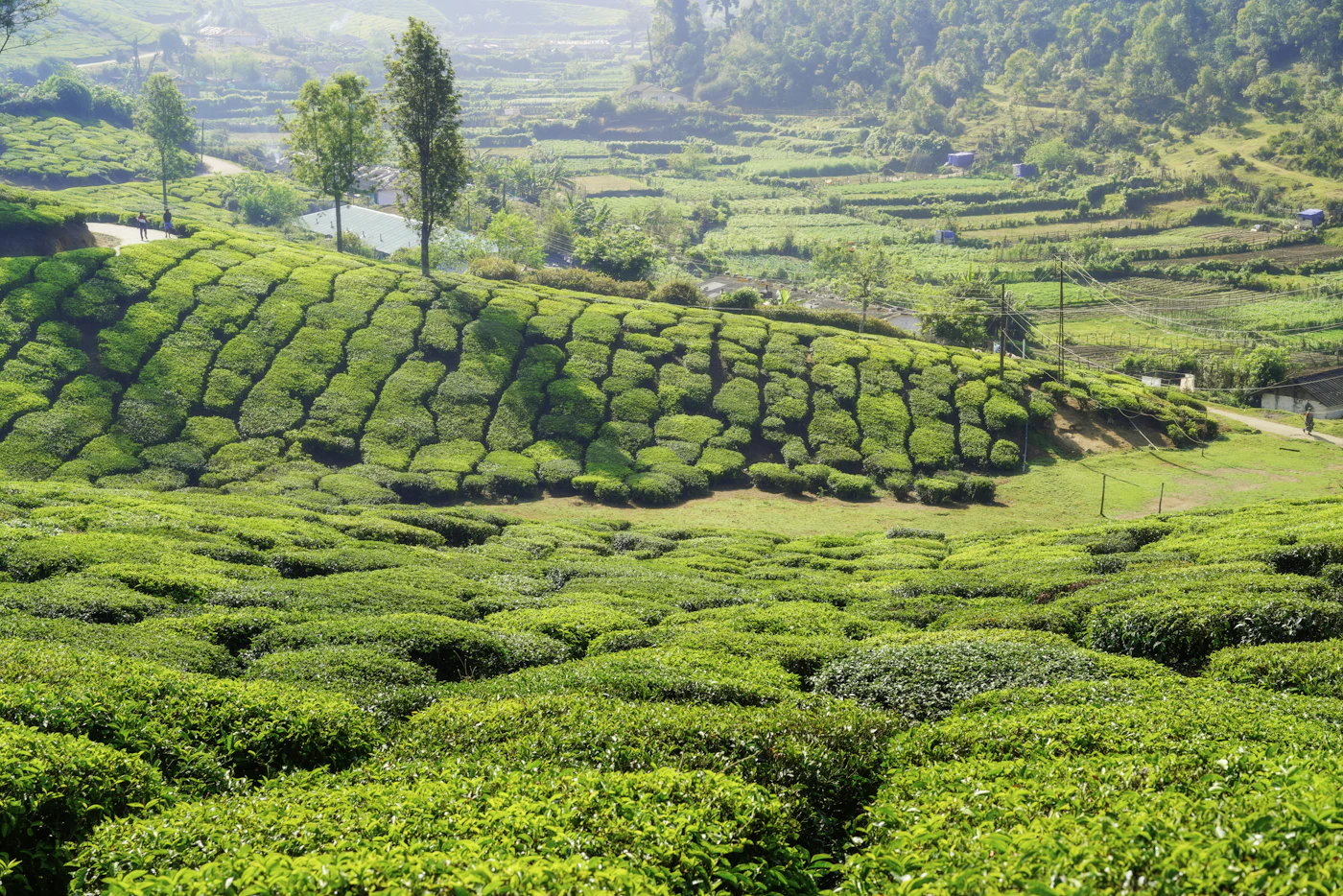 Grand Kerala Leisure