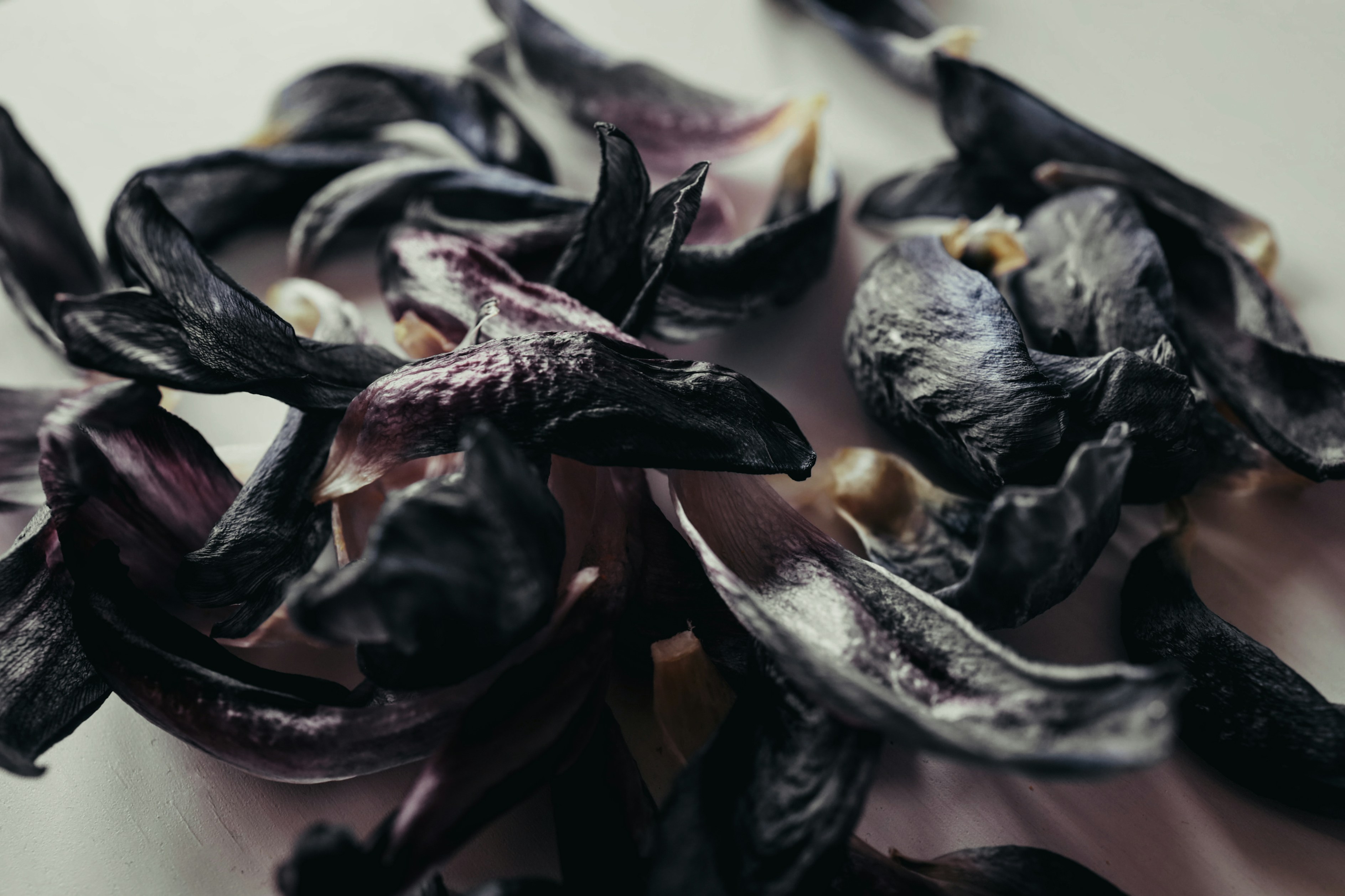 Photo by evgeniya_pron