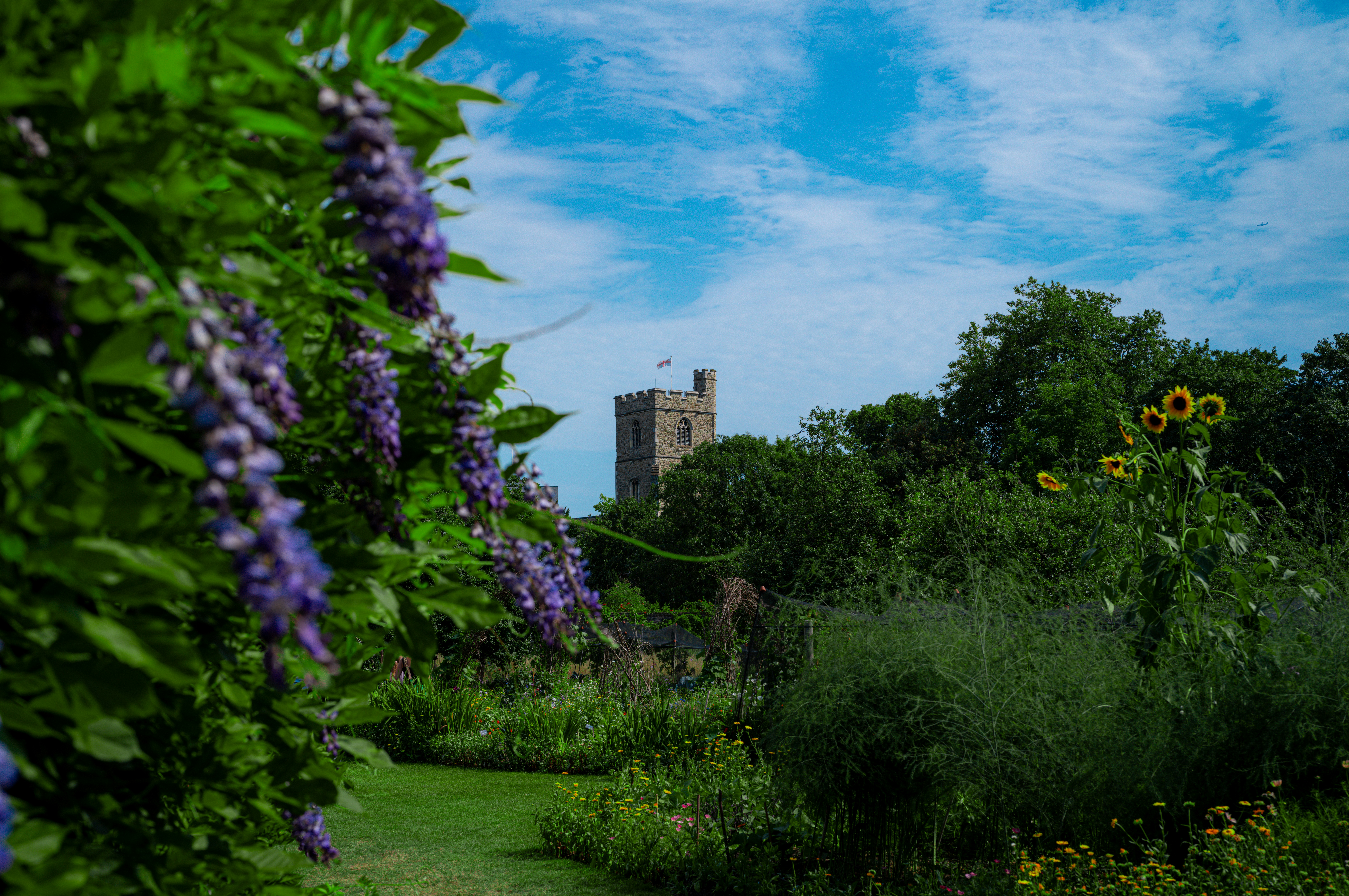 Photo by framethestreets