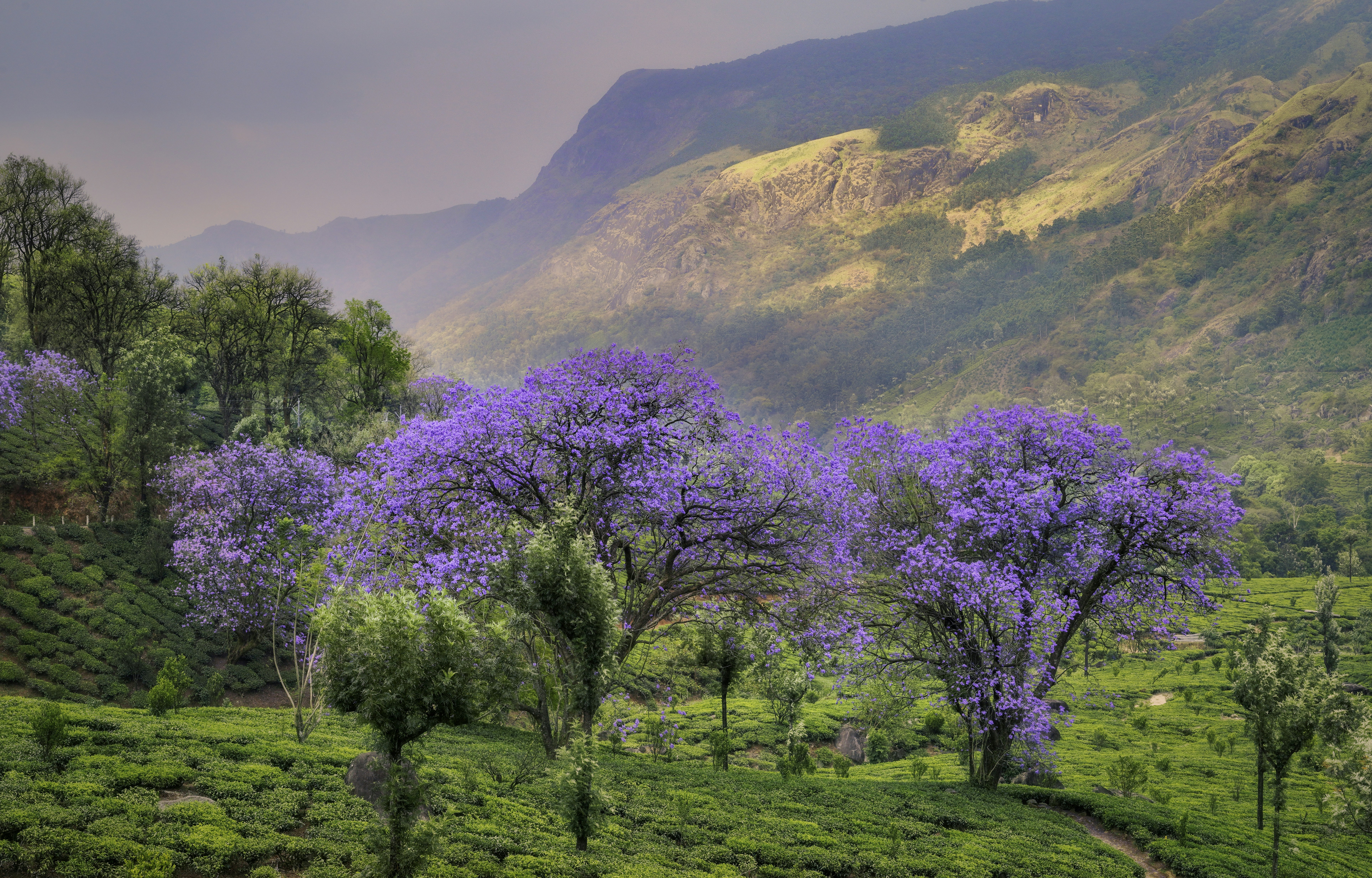Scenic Texas Hill Country landscape near Liberty Hill TX, setting for corporate team building horseback riding excursions