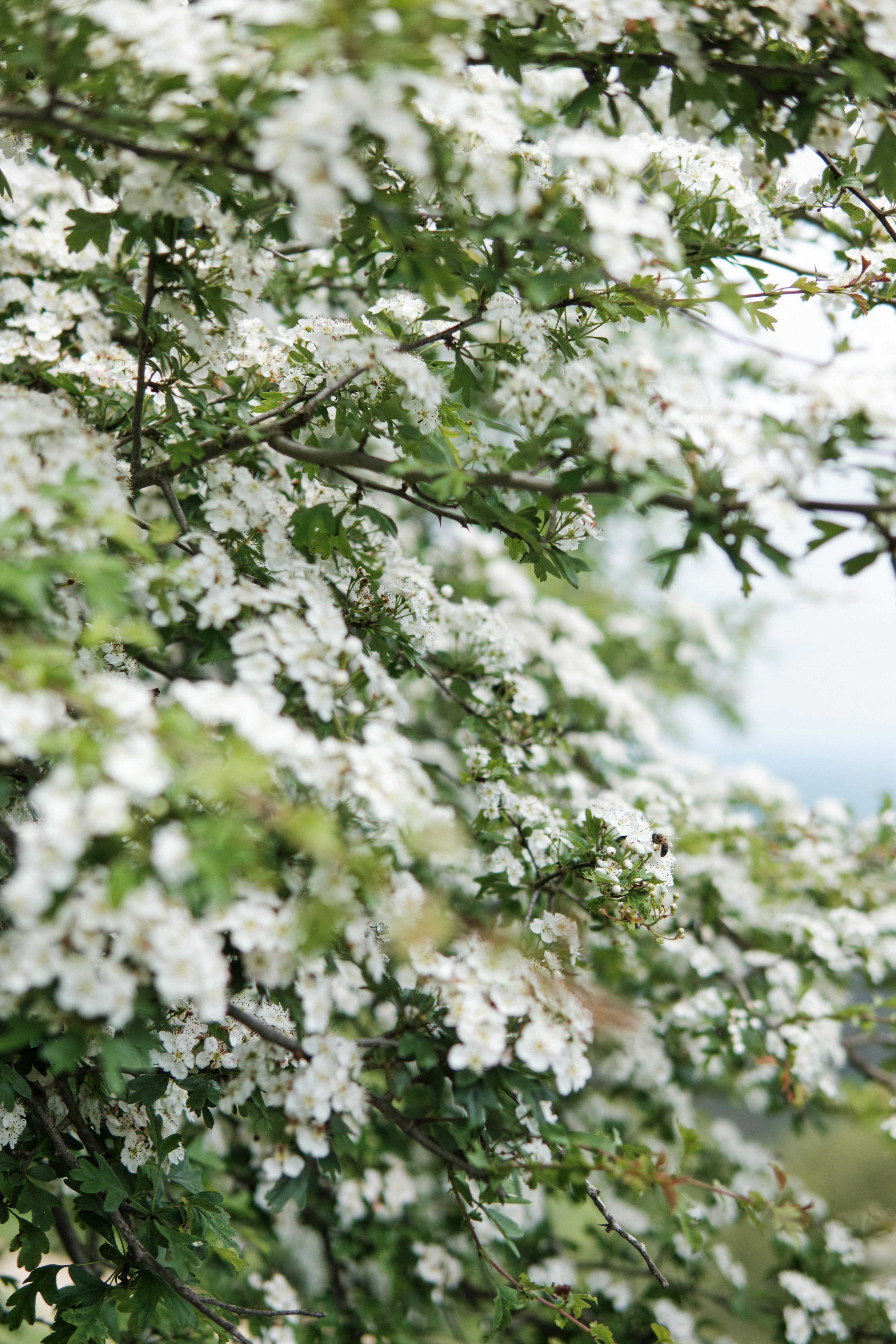 Photo by damiendufourphotographie