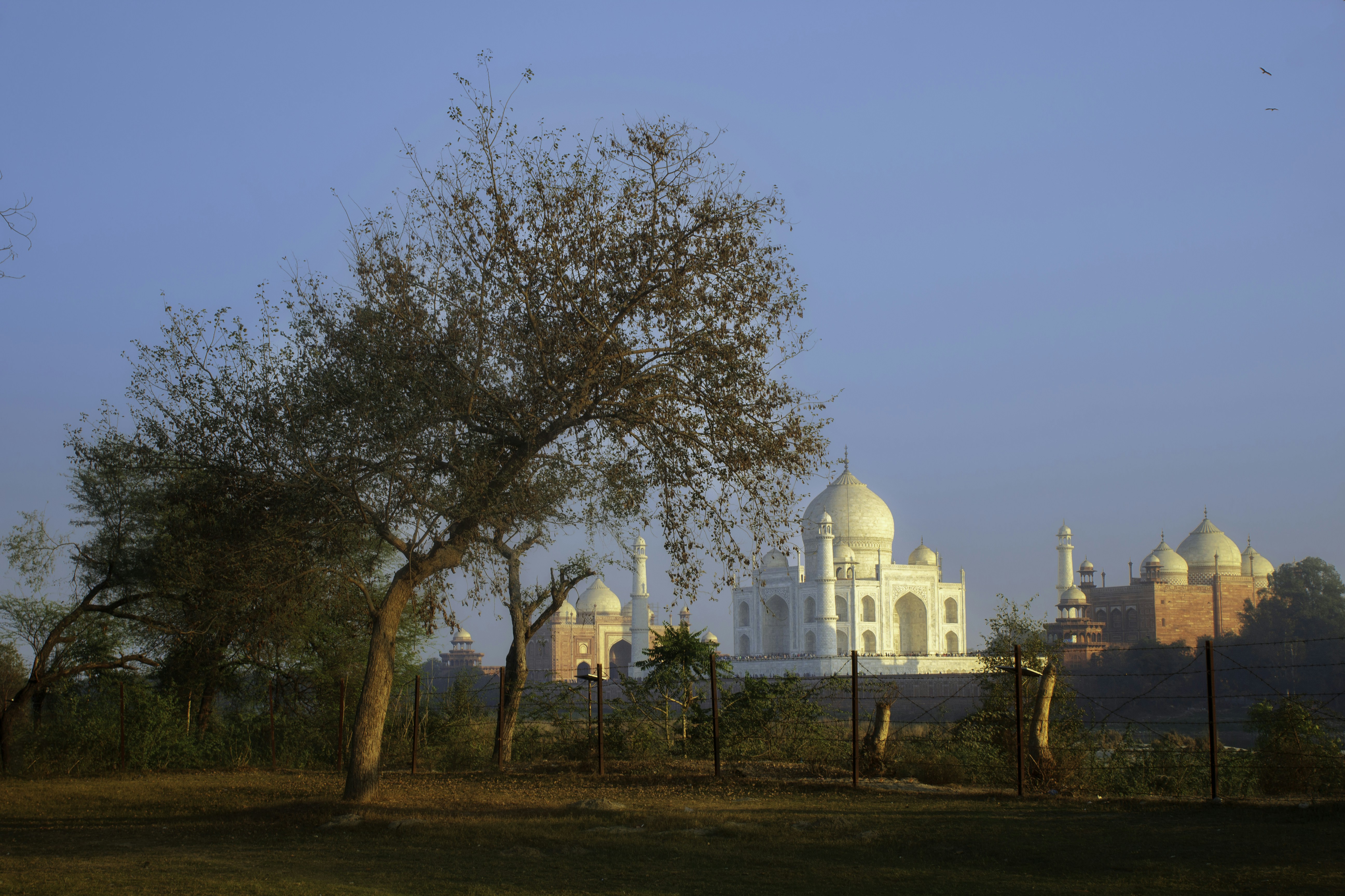 The taj mahal stands in a picturesque landscape.