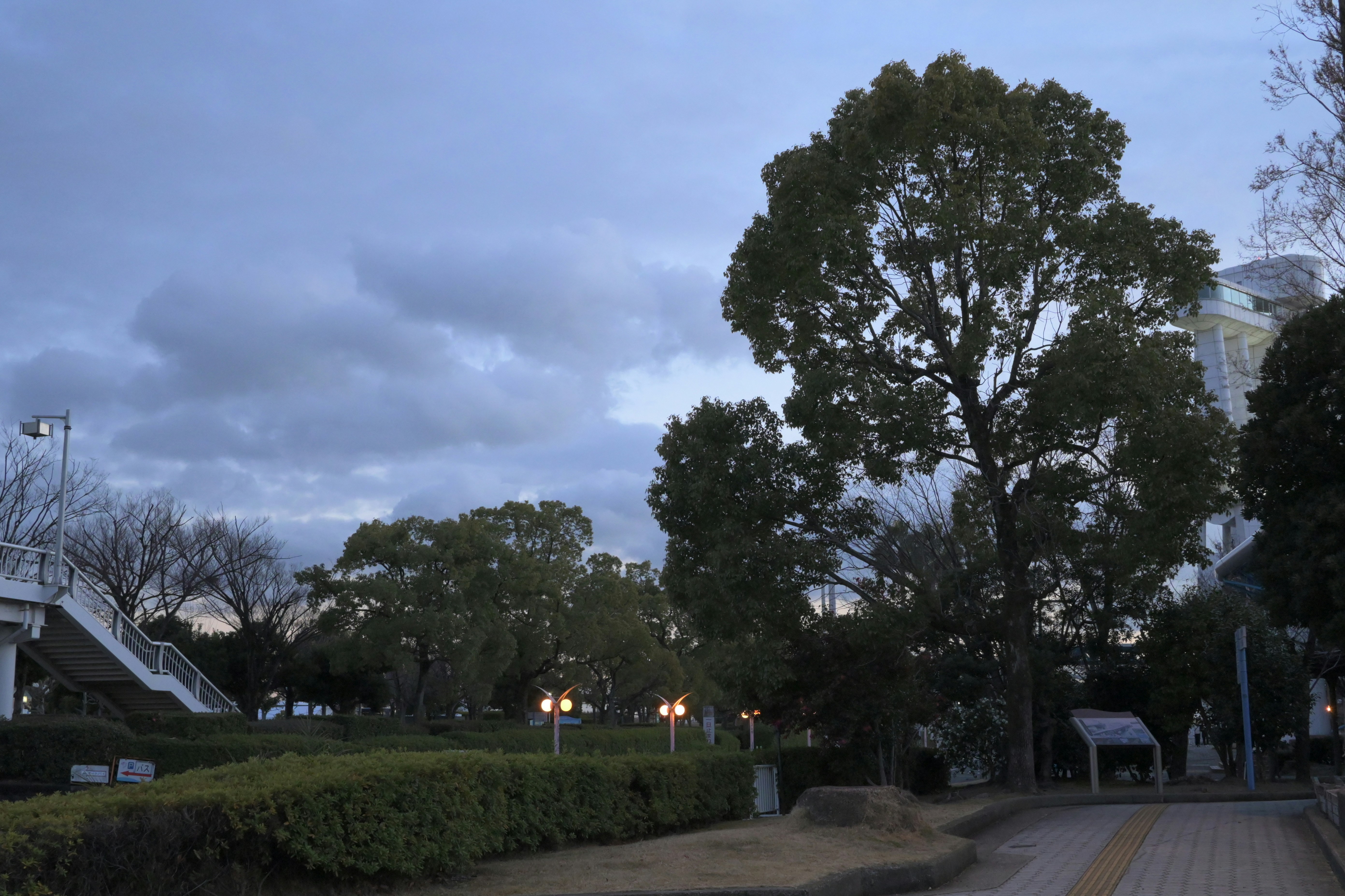 Um parque com árvores sob um céu nublado.