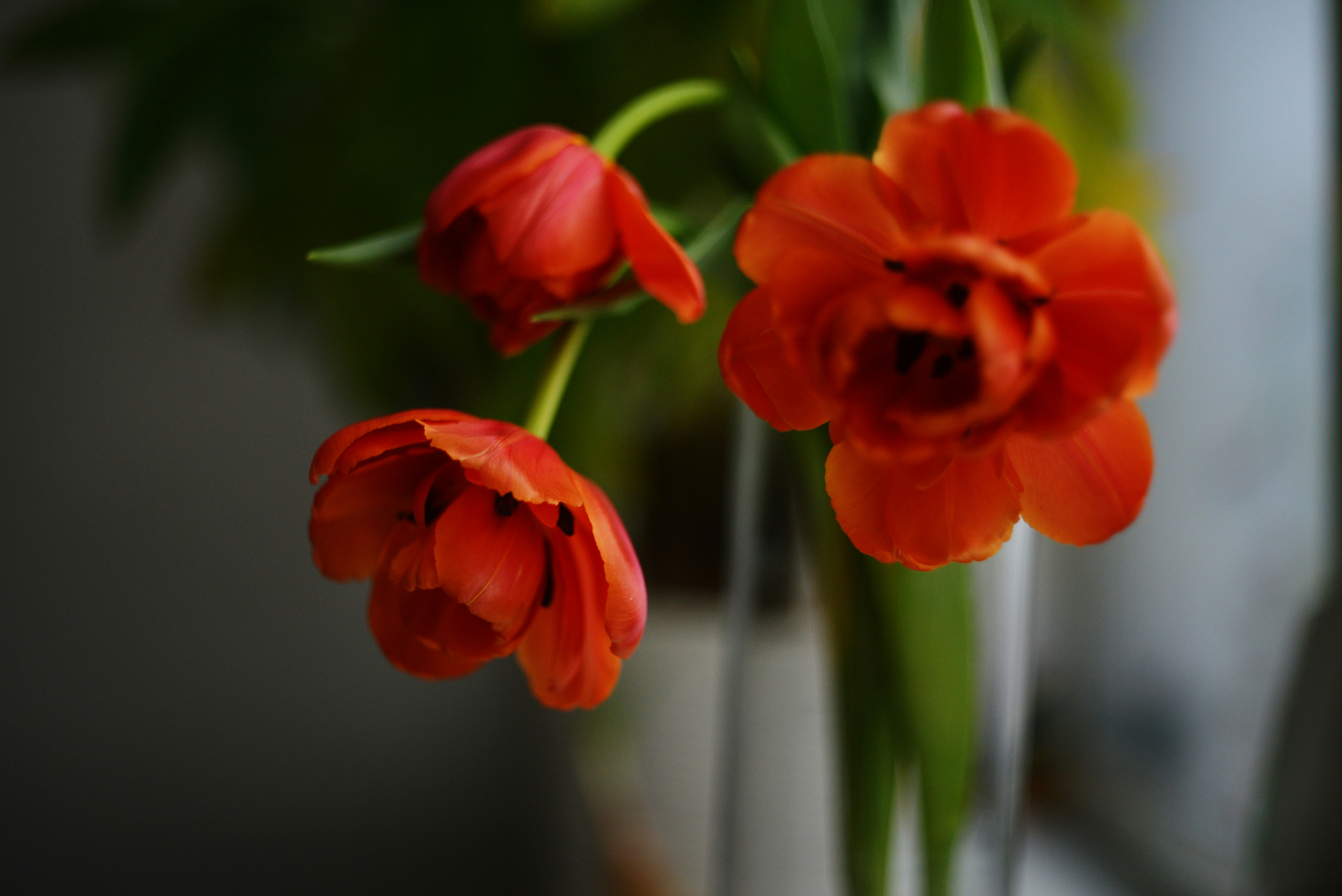 Photo by cherstve_pechivo