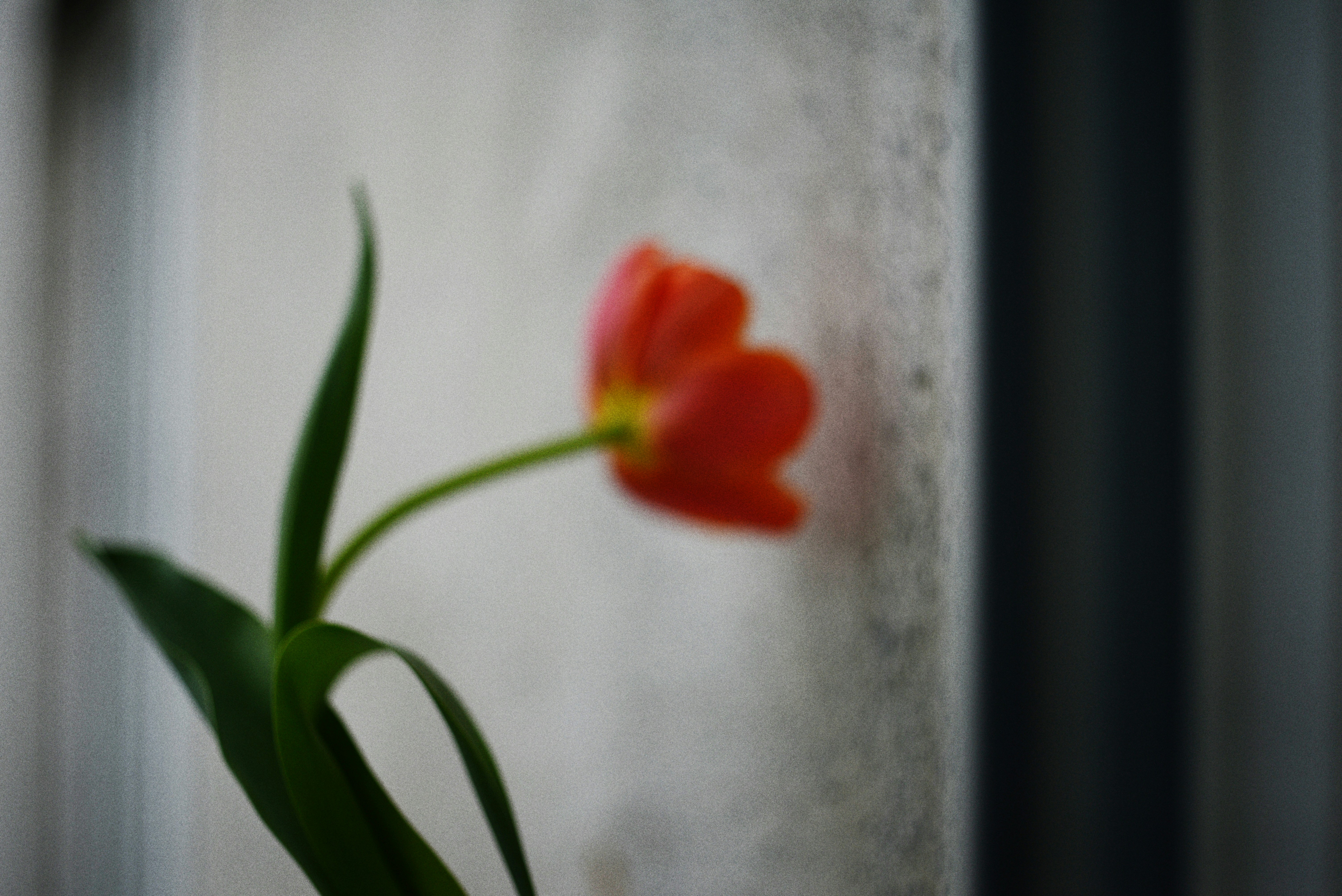 Photo by cherstve_pechivo