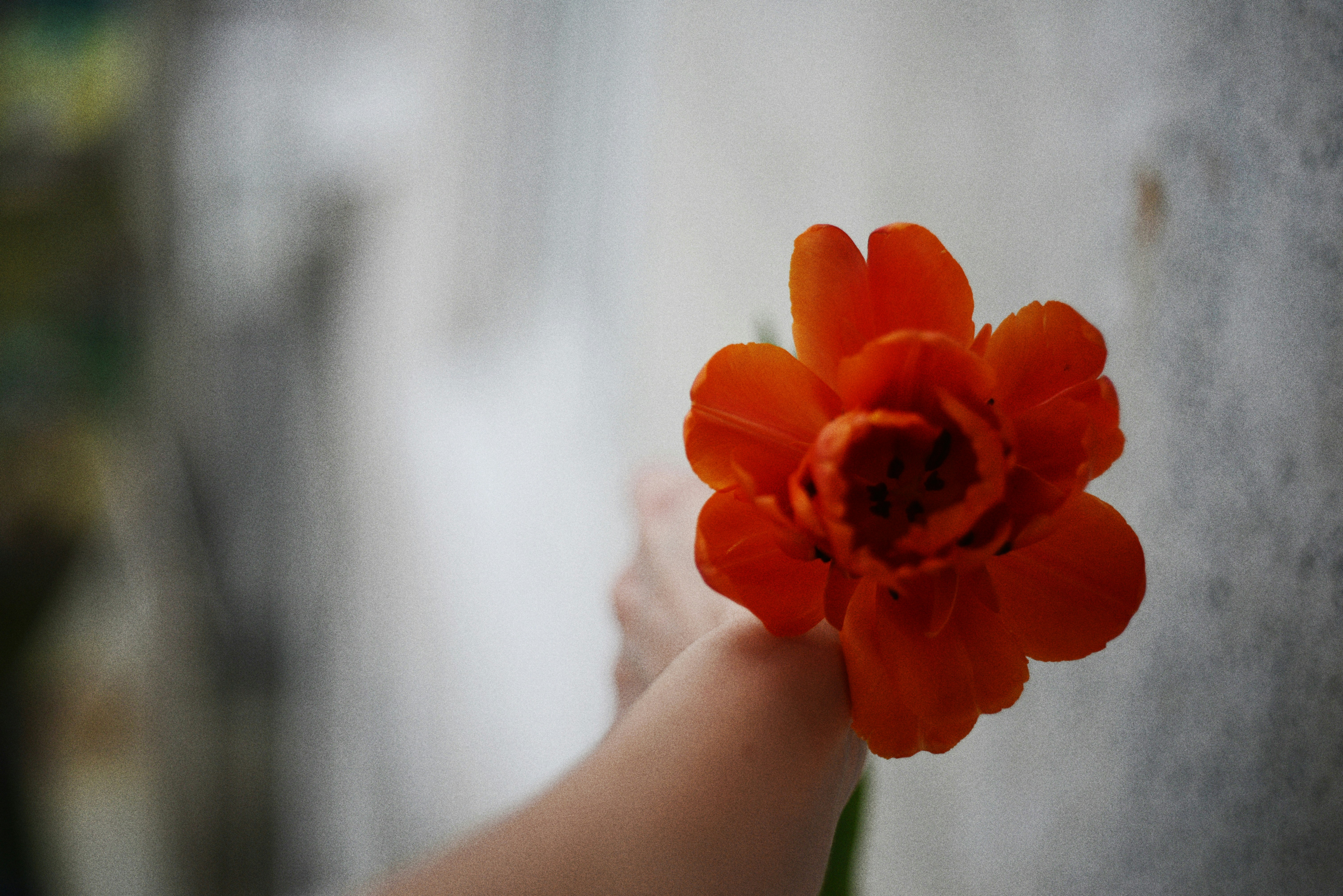 Photo by cherstve_pechivo