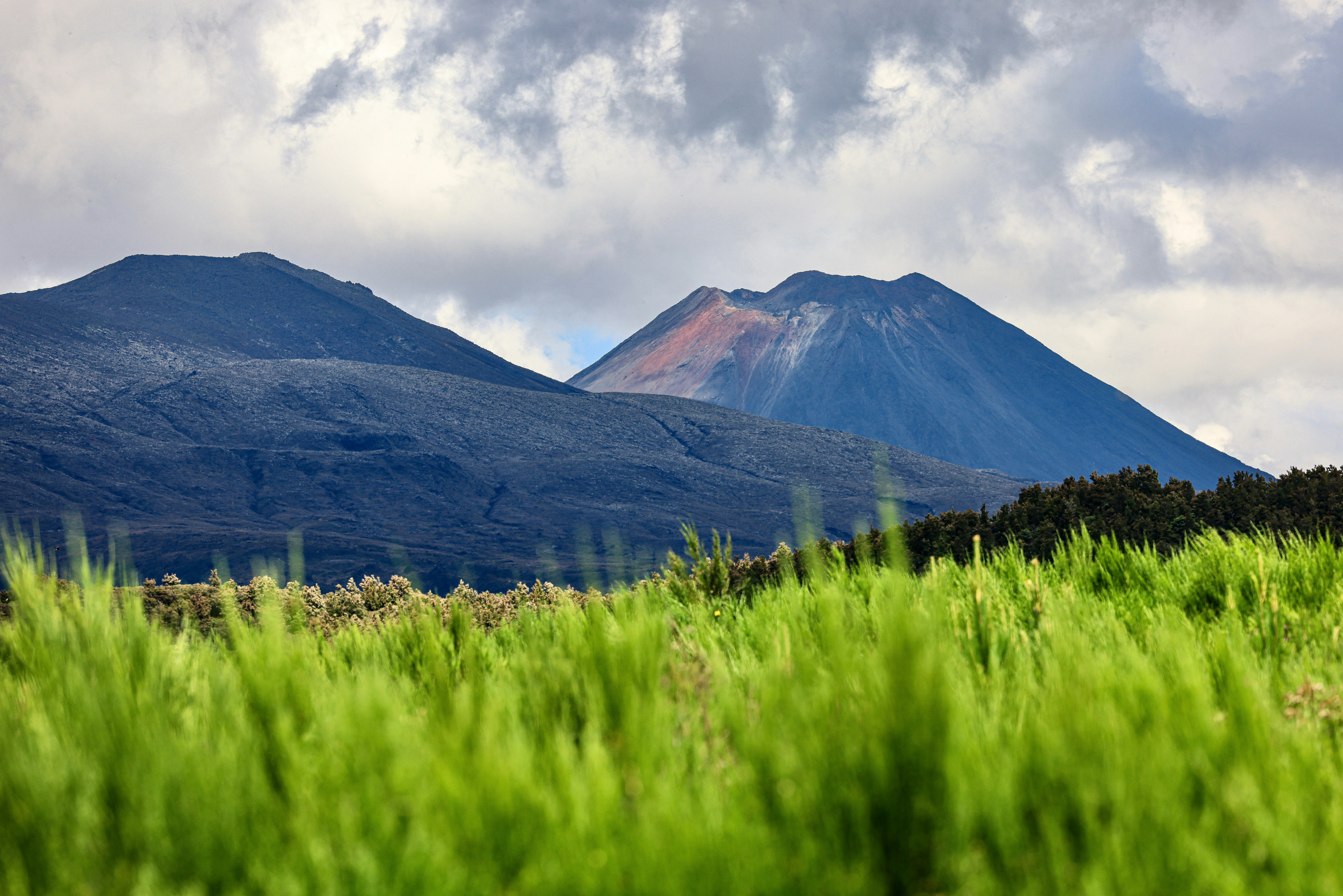 Photo by maximilian_brand