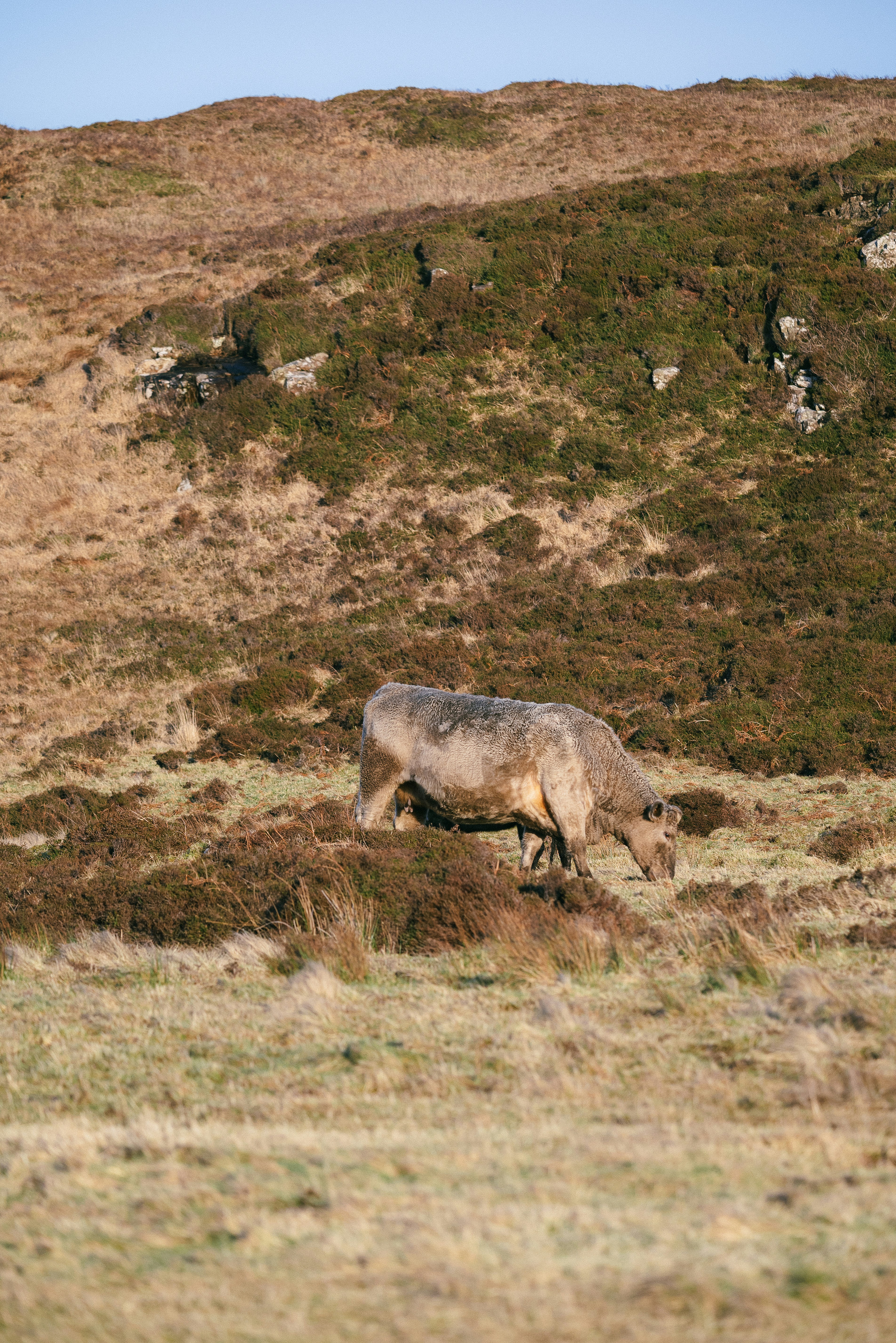 Photo by jetztabertempo