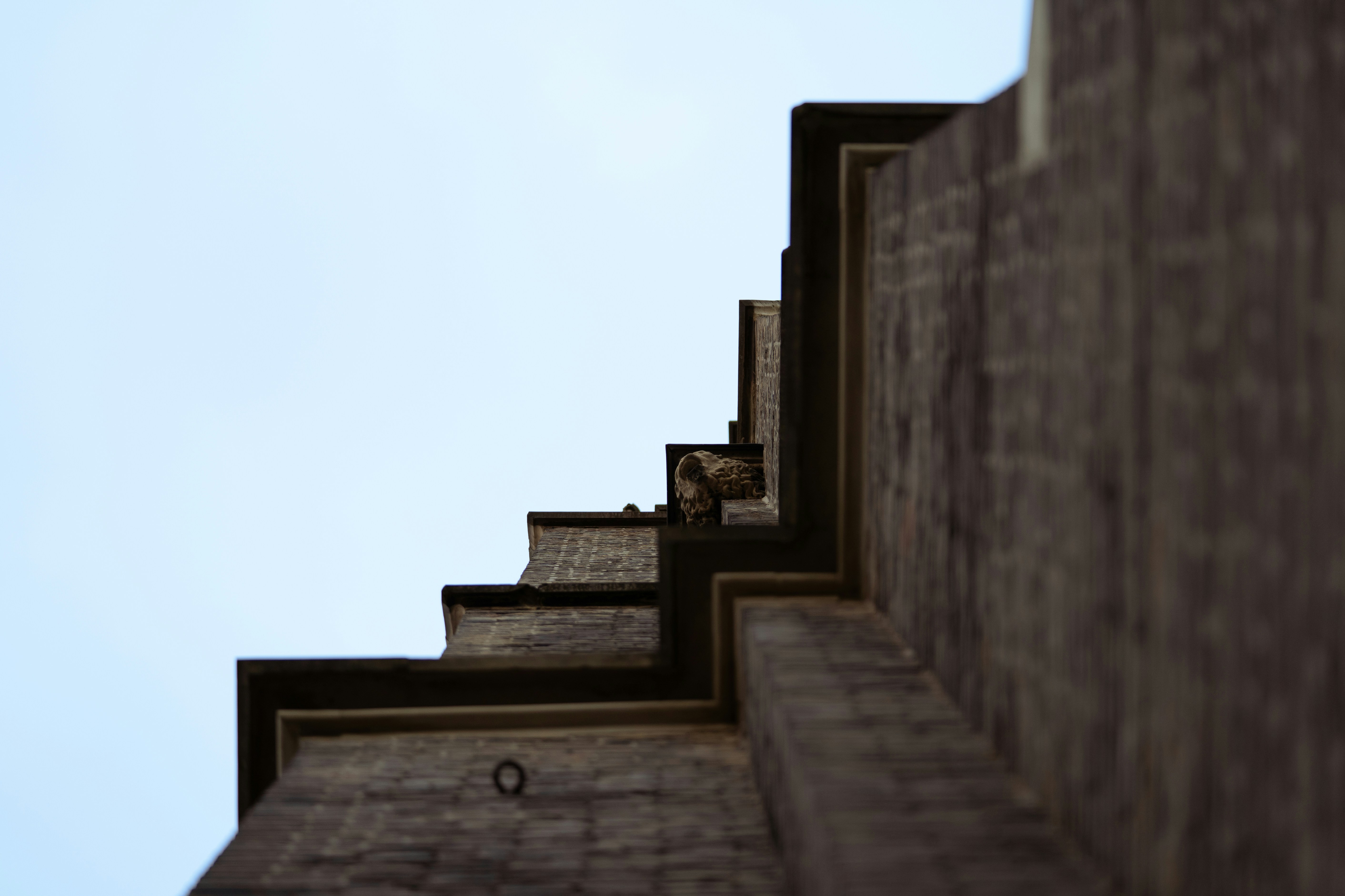 Photo by soroushzargar