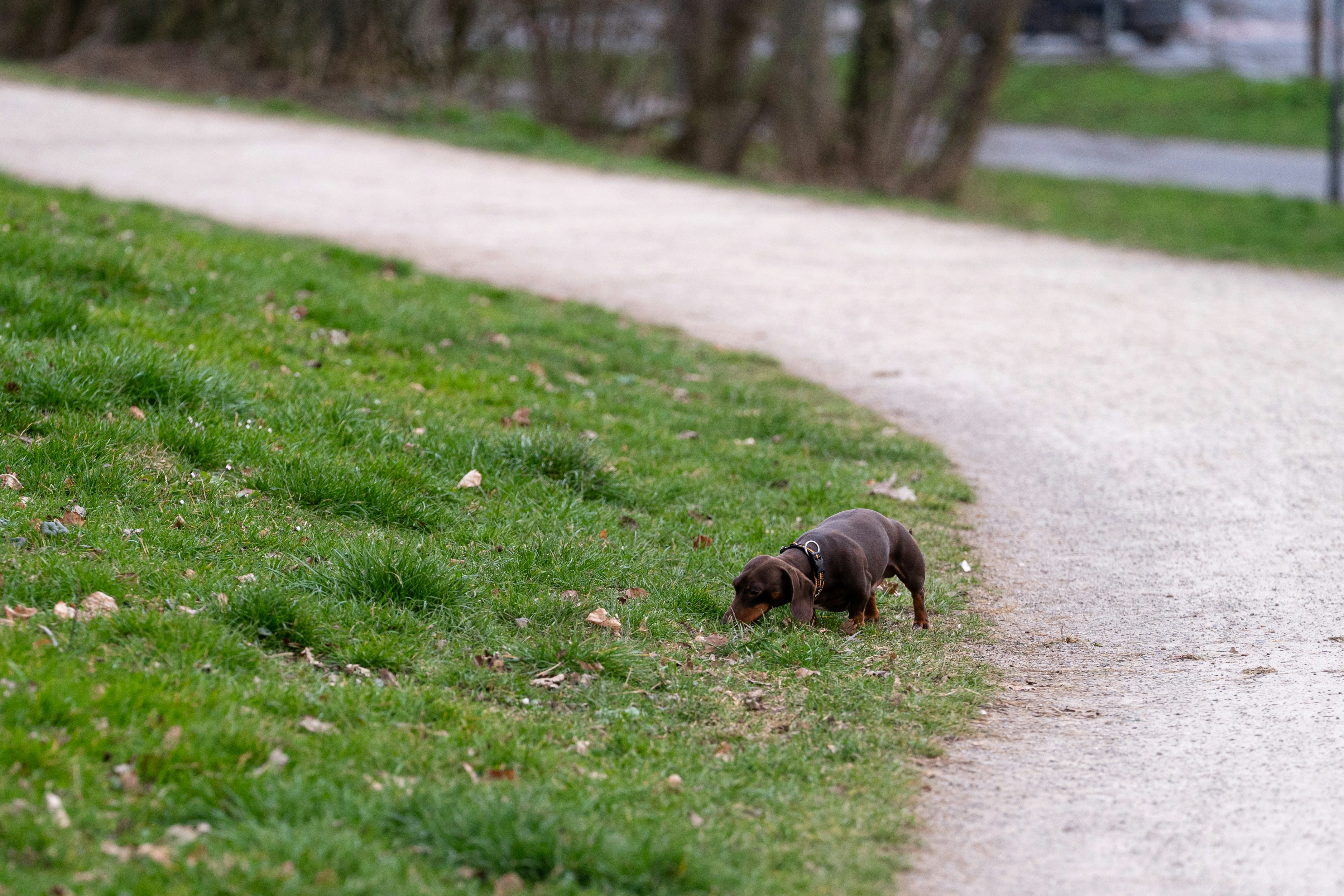 Photo by soroushzargar