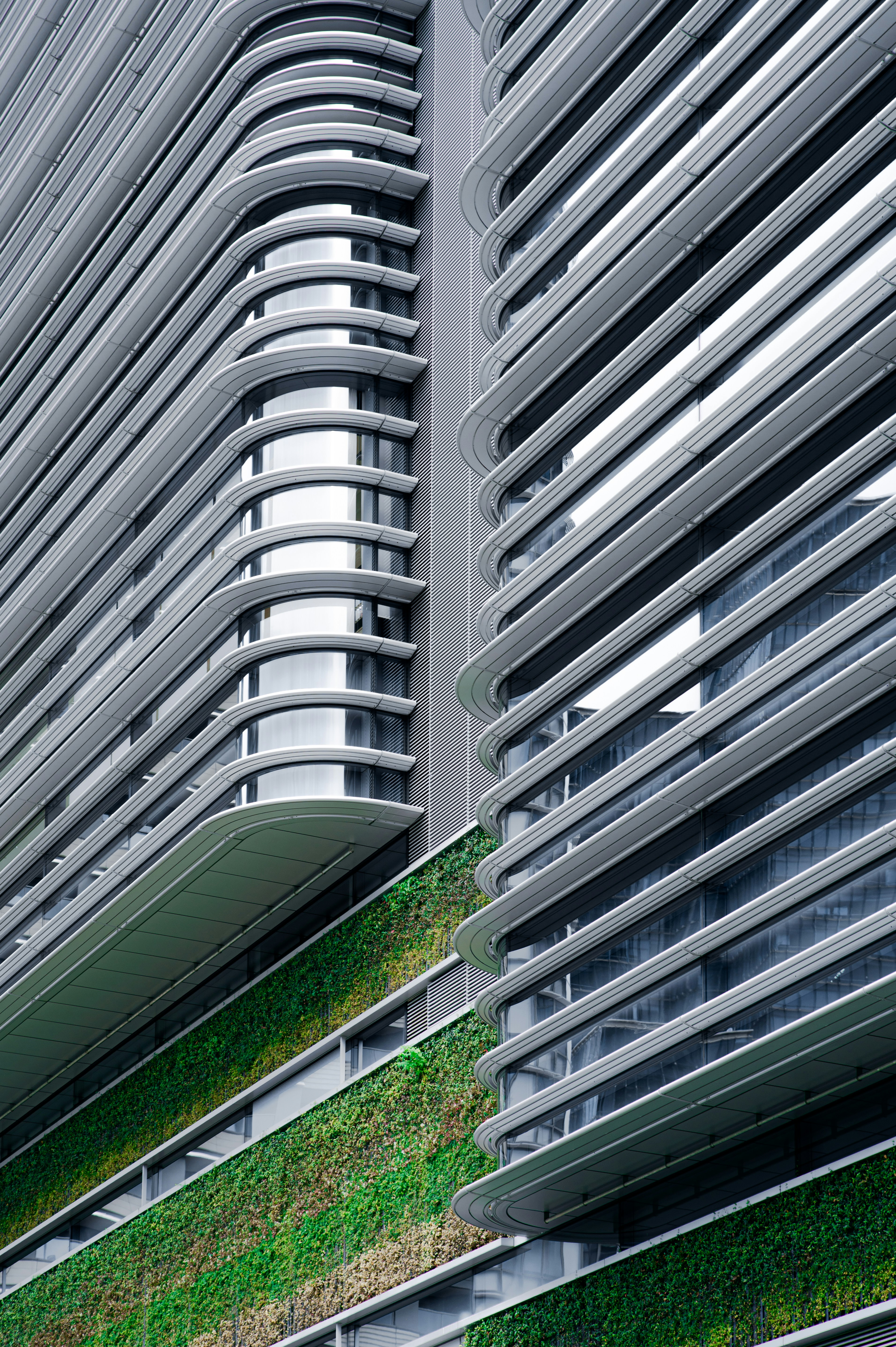 Photo by ryunosuke_kikuno