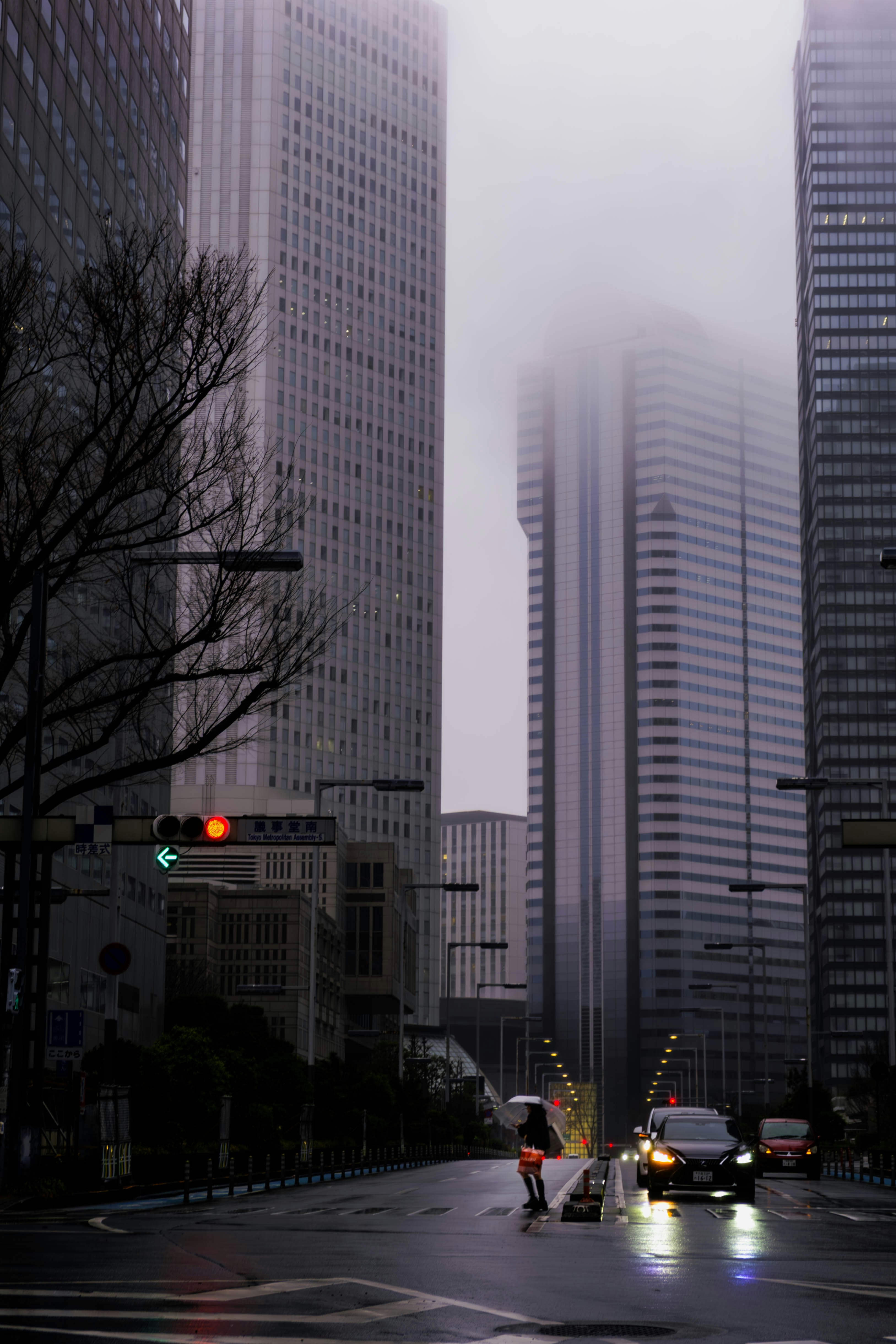 Skyscrapers stand tall in a misty, urban cityscape.