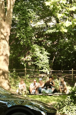 People are sitting on the ground under a tree.