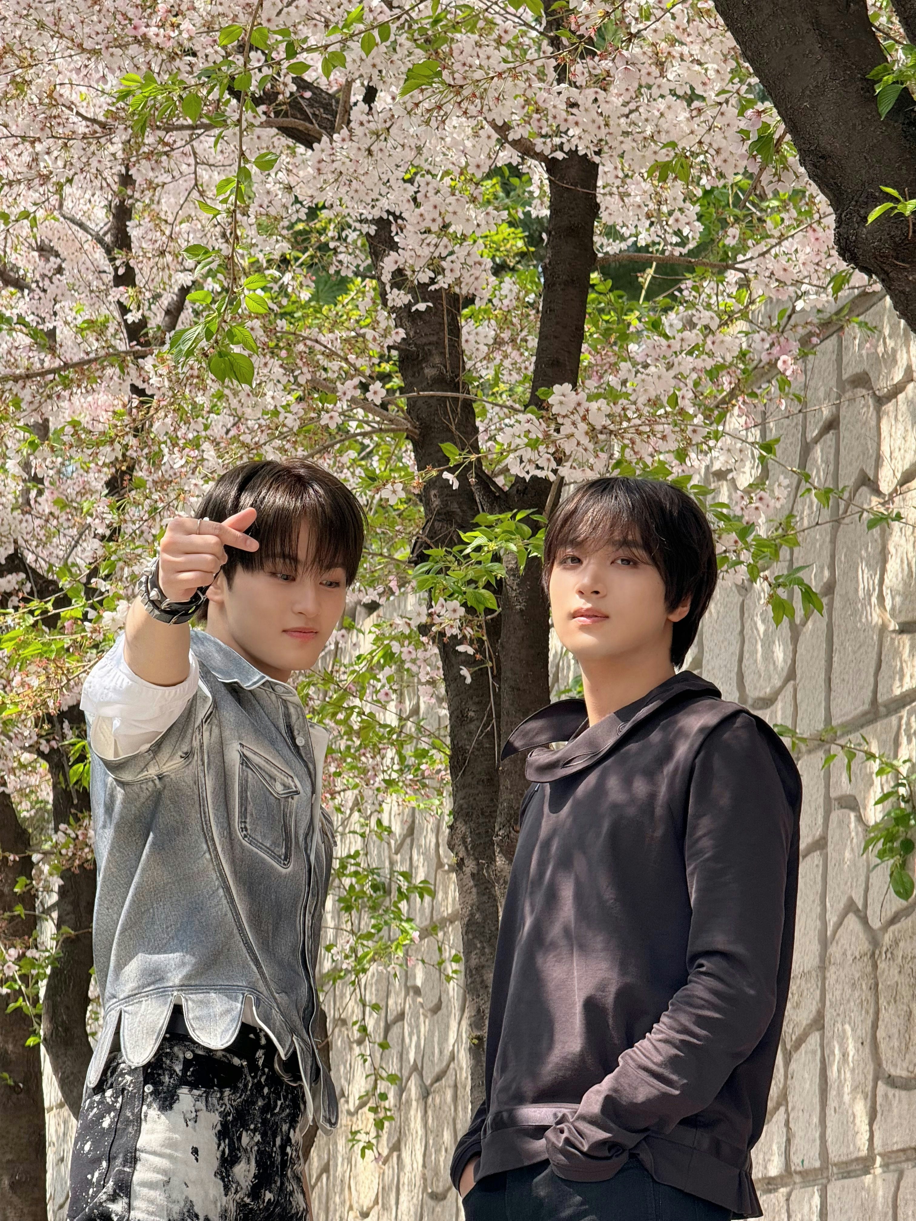 Two men posing under a flowering tree.
