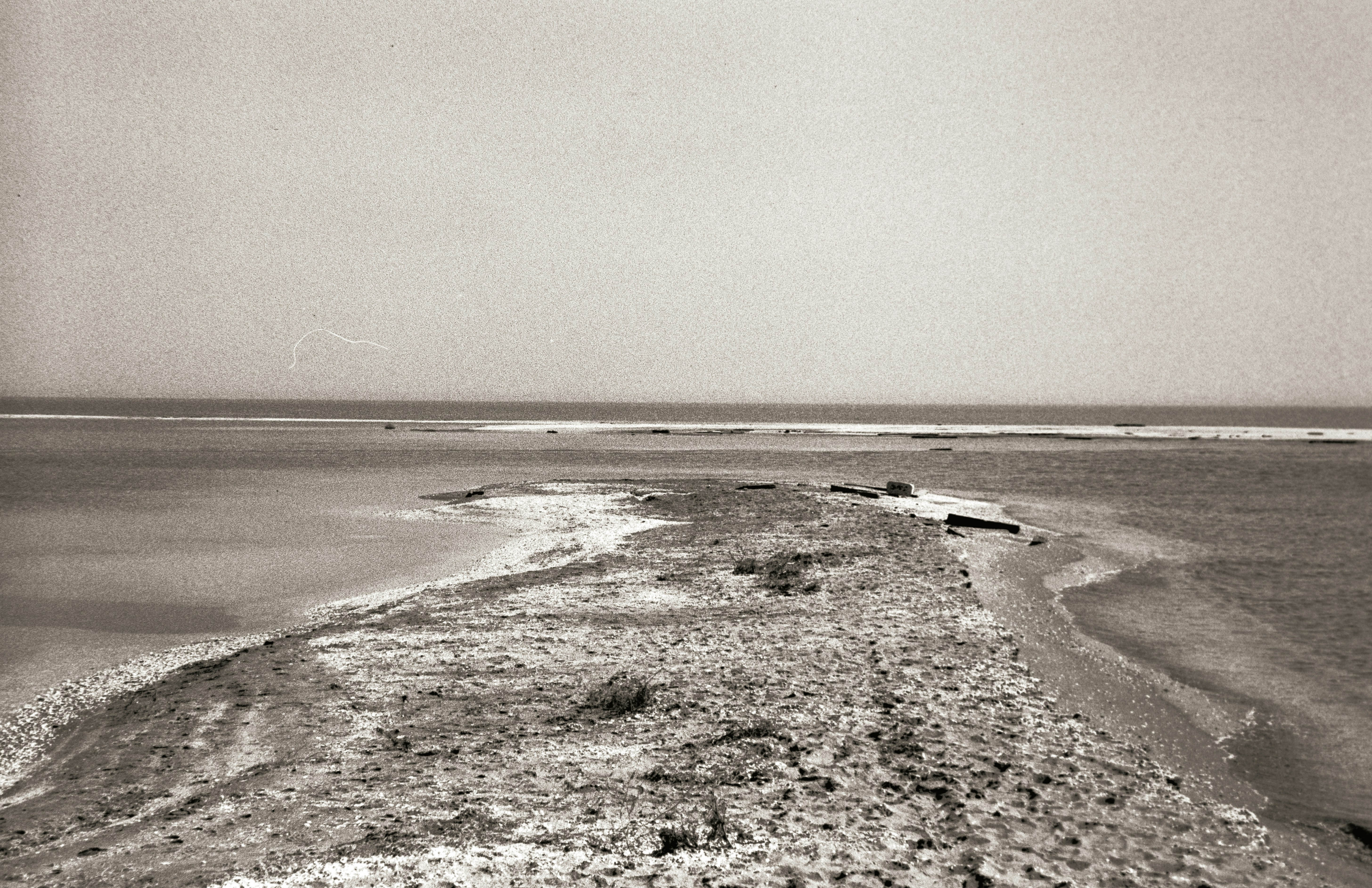 Photo by ragnarbeaverson