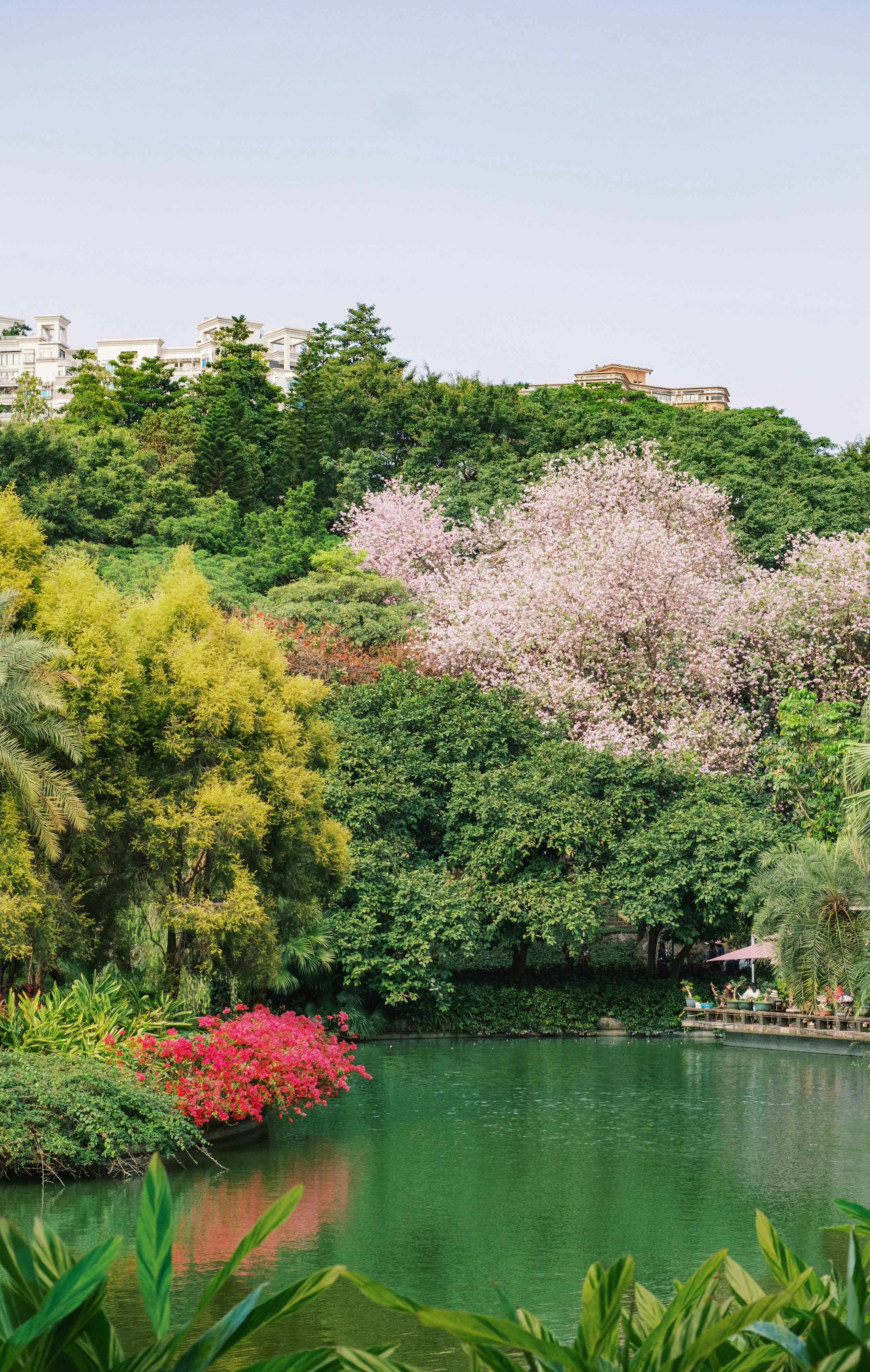 Beautiful lake surrounded by lush, colorful vegetation.