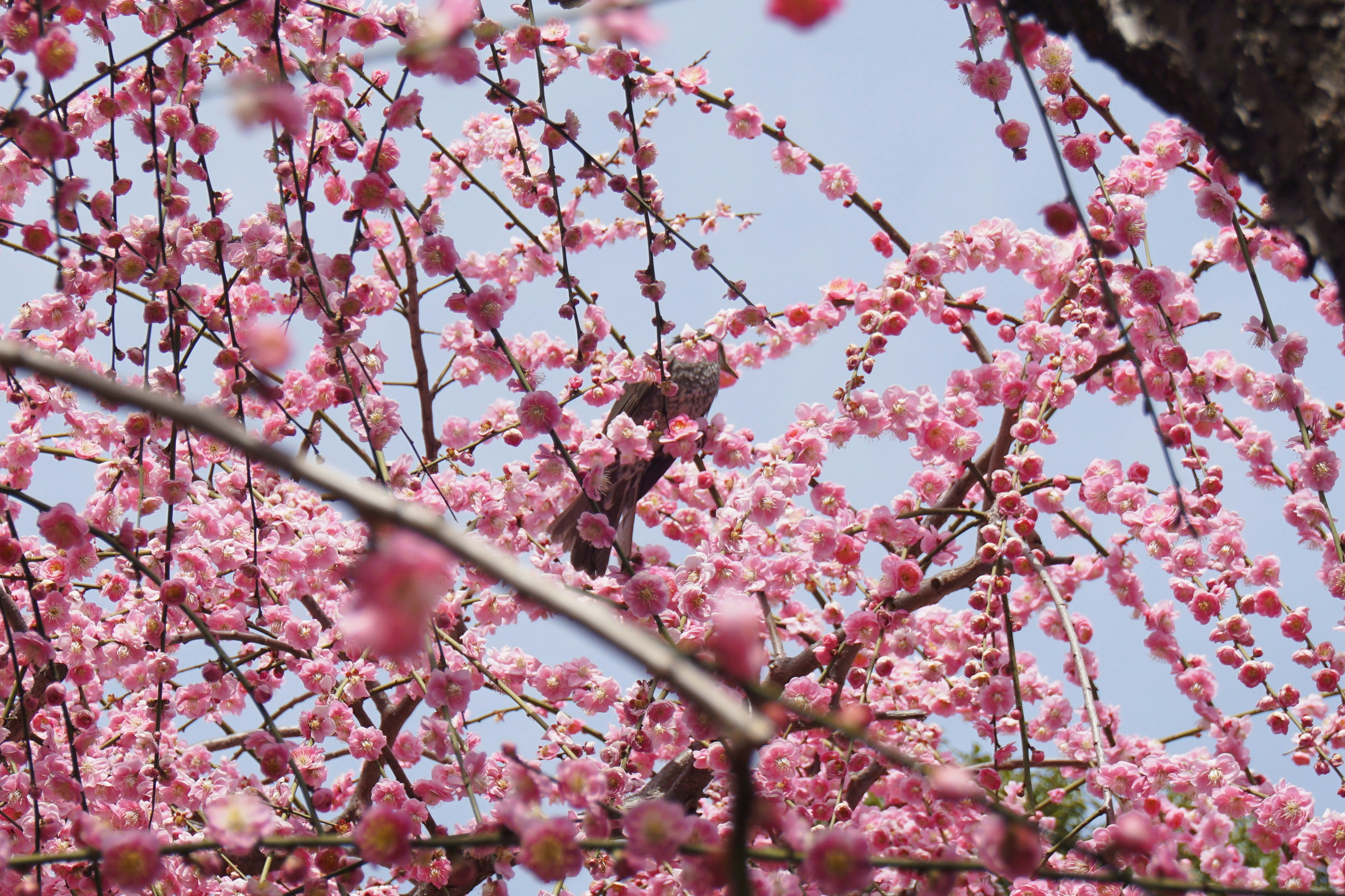 Photo by syadzasalsabyla