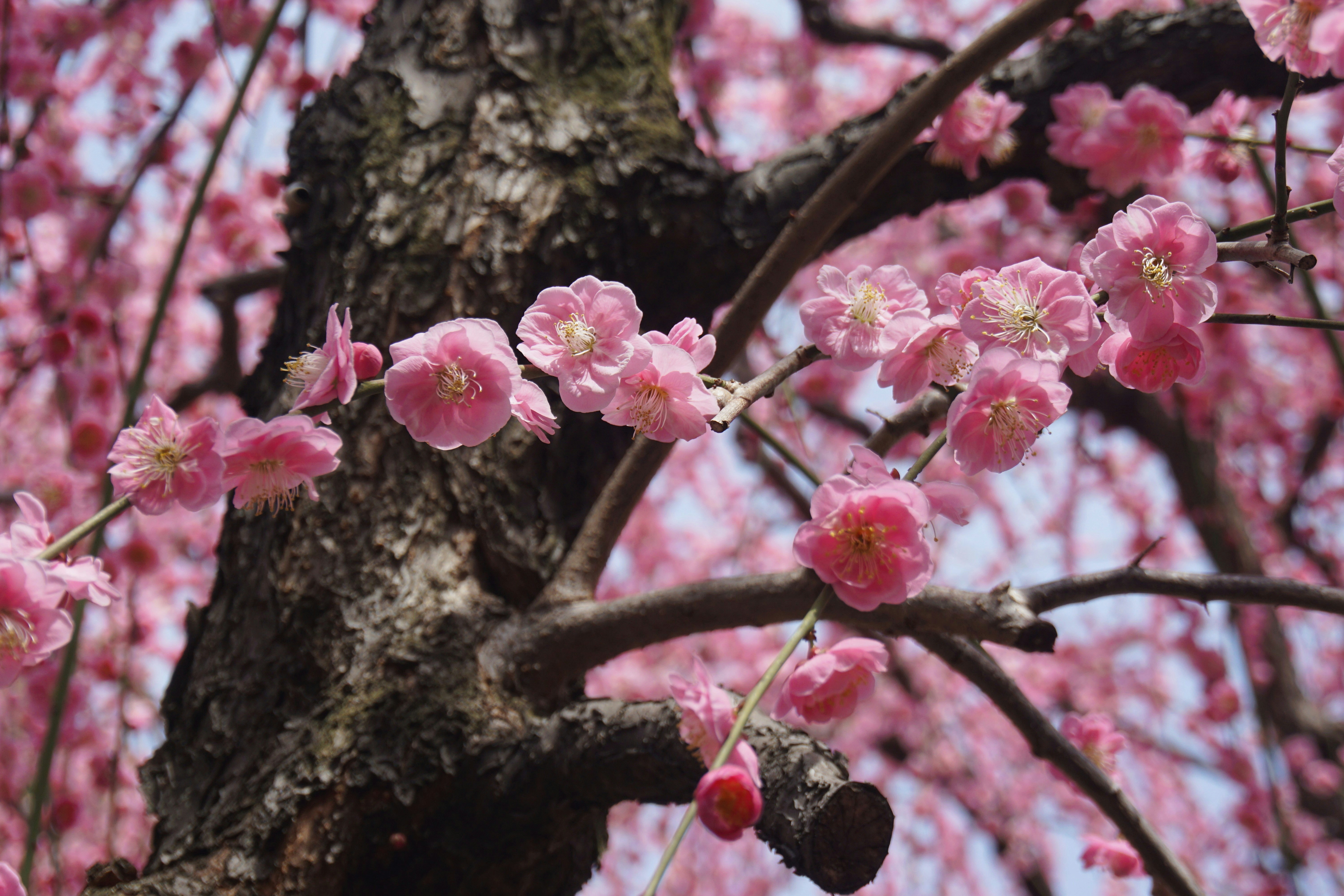 Photo by syadzasalsabyla