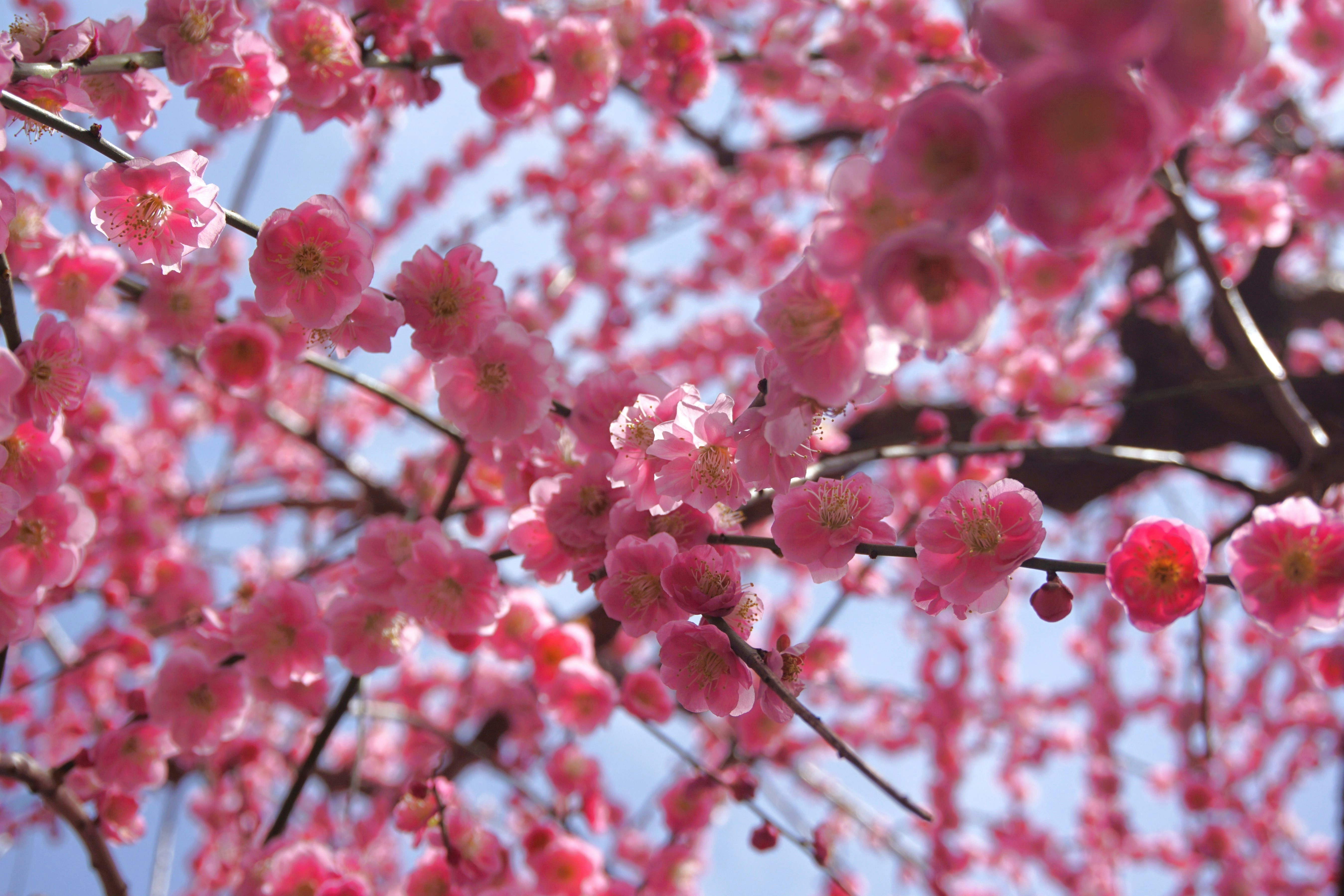 Photo by syadzasalsabyla