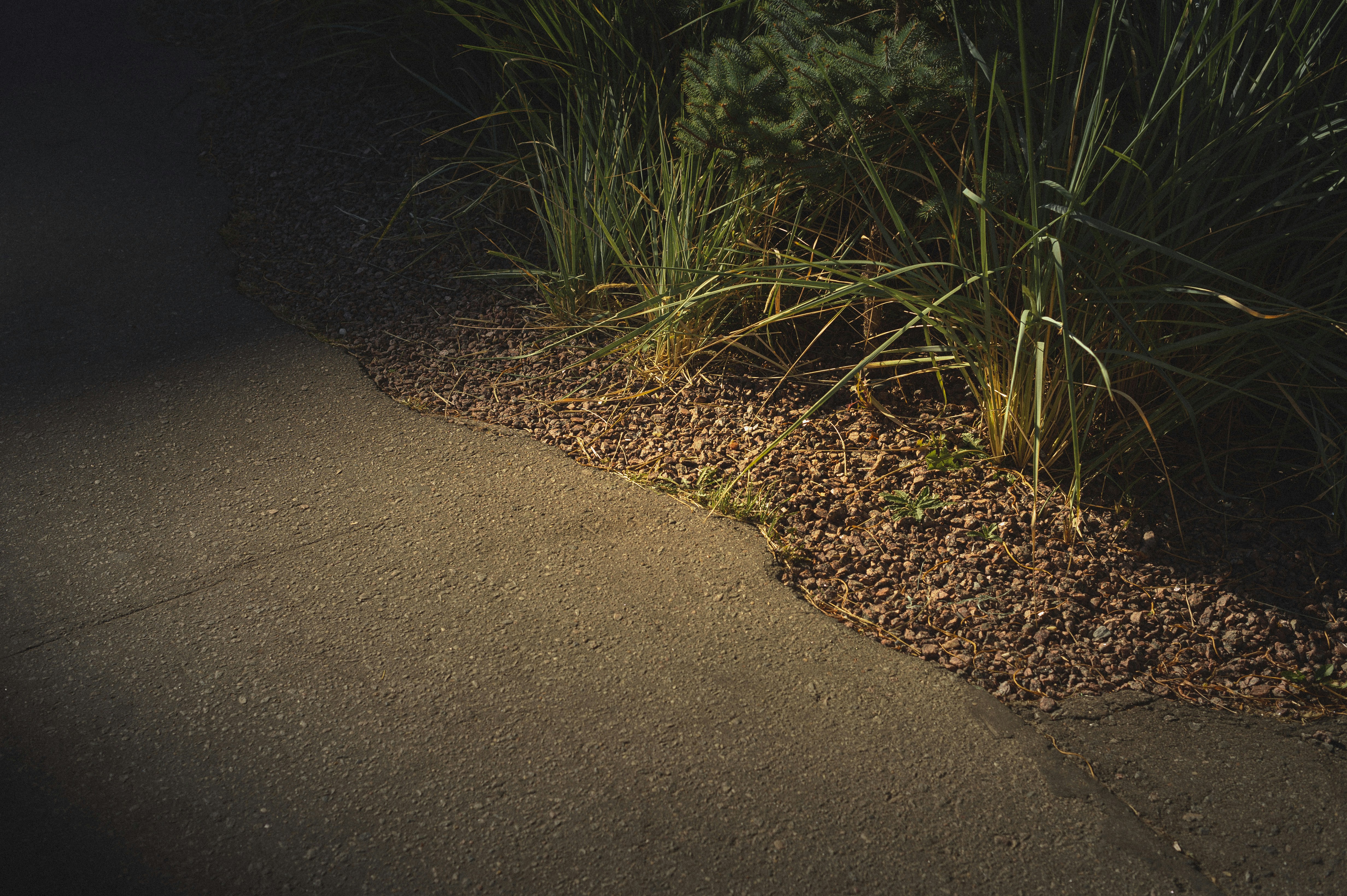 Photo by vonshnauzer