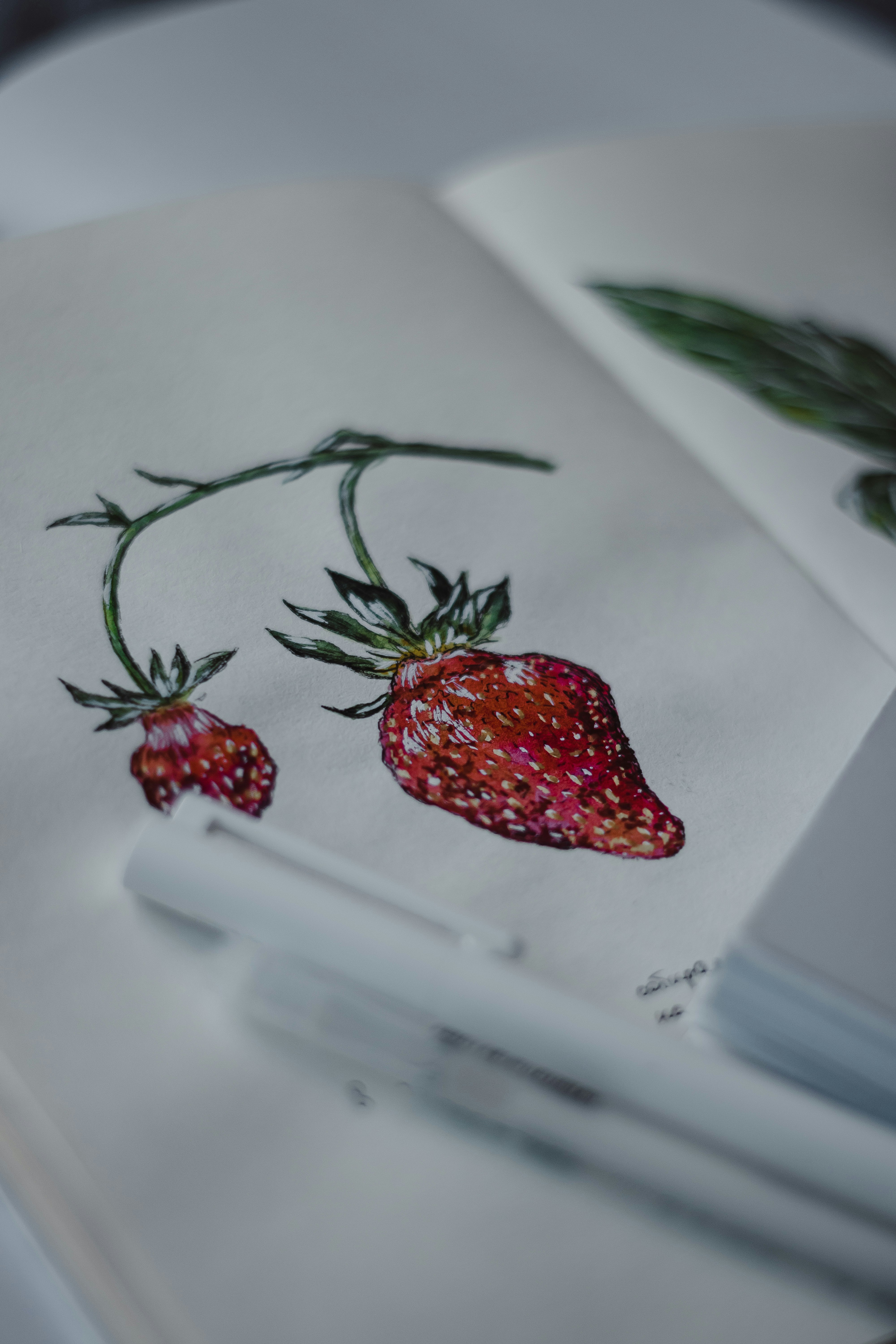 Pittura ad acquerello di due fragole su un album da disegno.