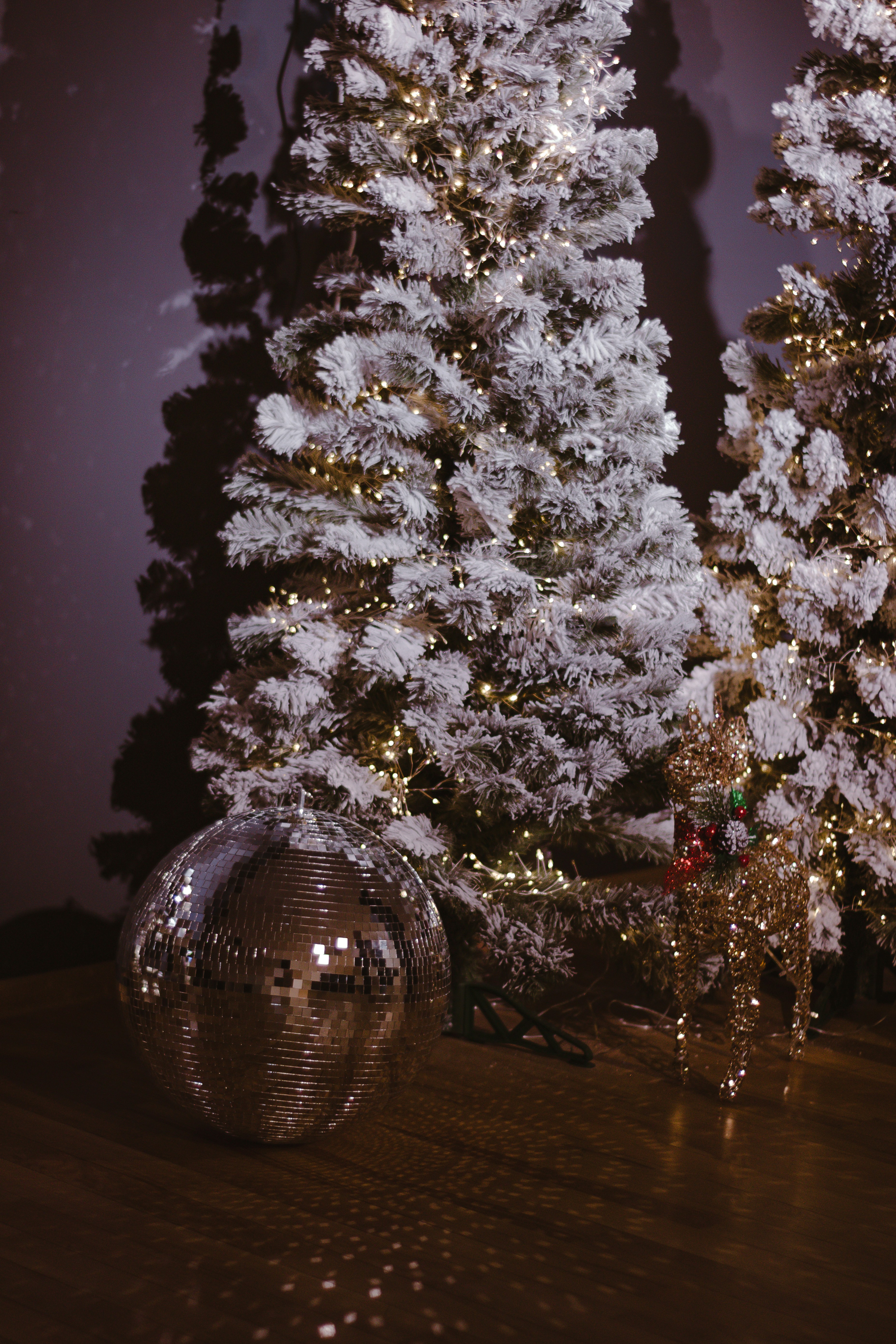 Snowy christmas trees with a disco ball.