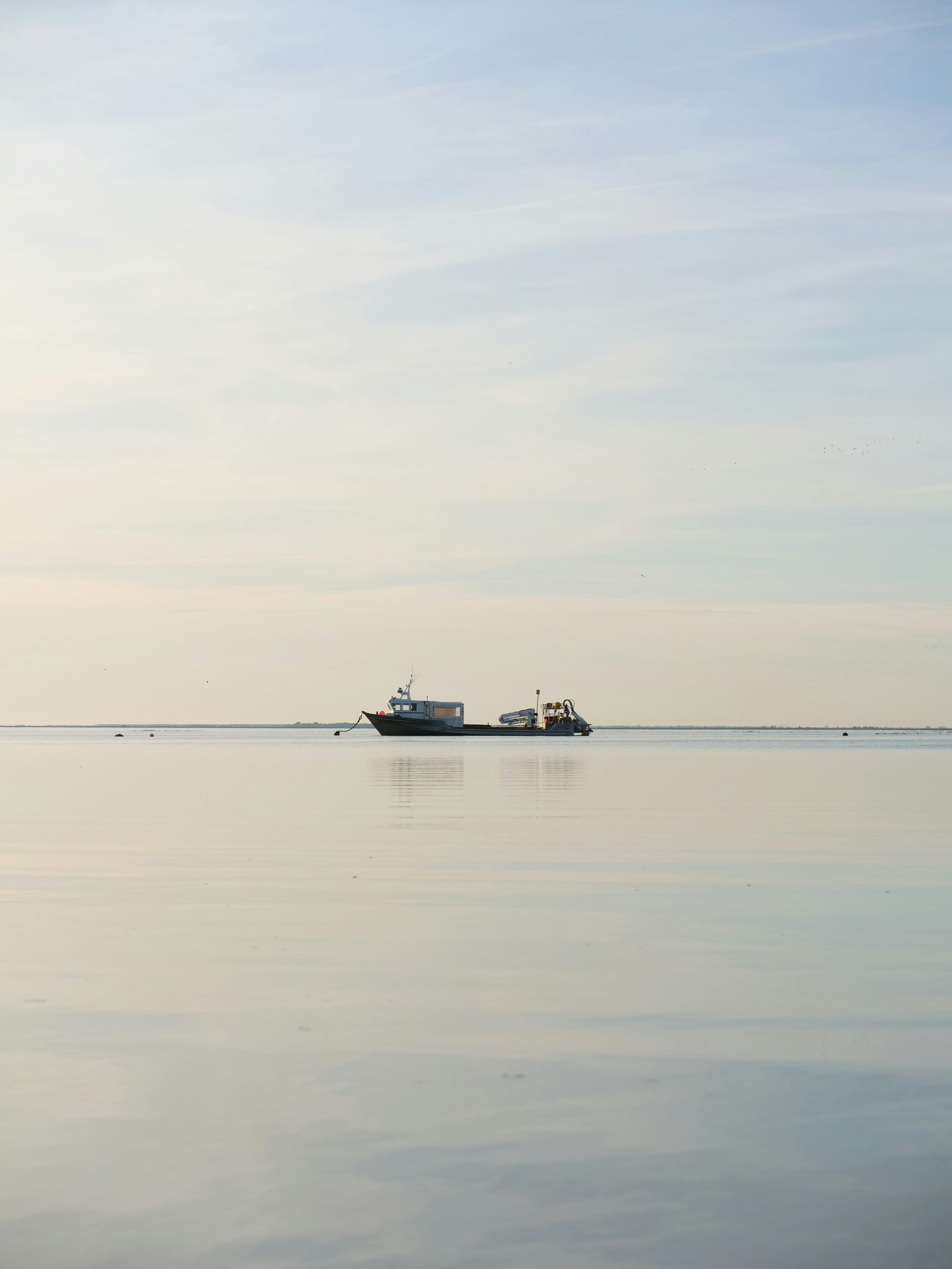 Photo by nimbus_vulpis