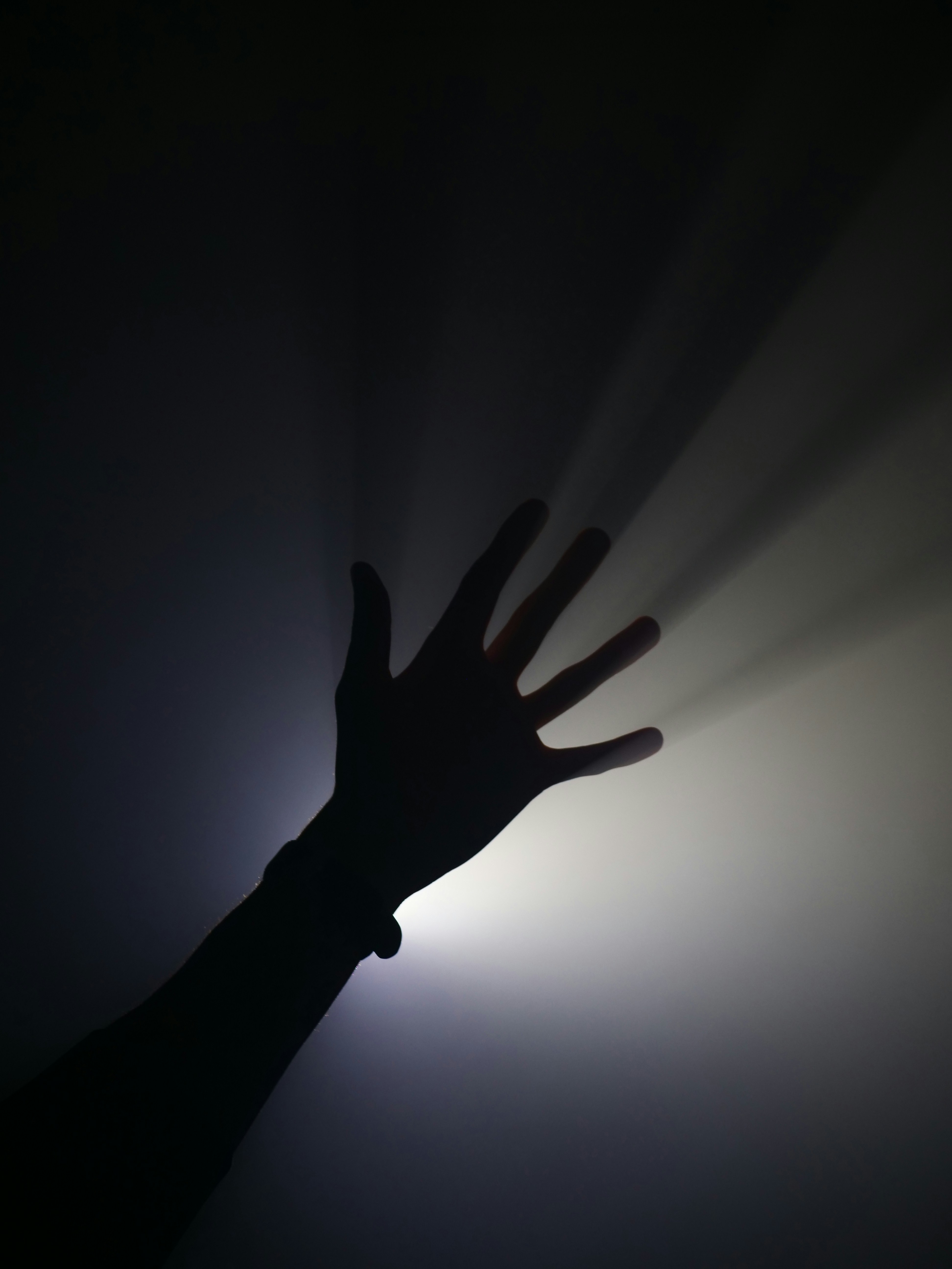 Photo by nimbus_vulpis