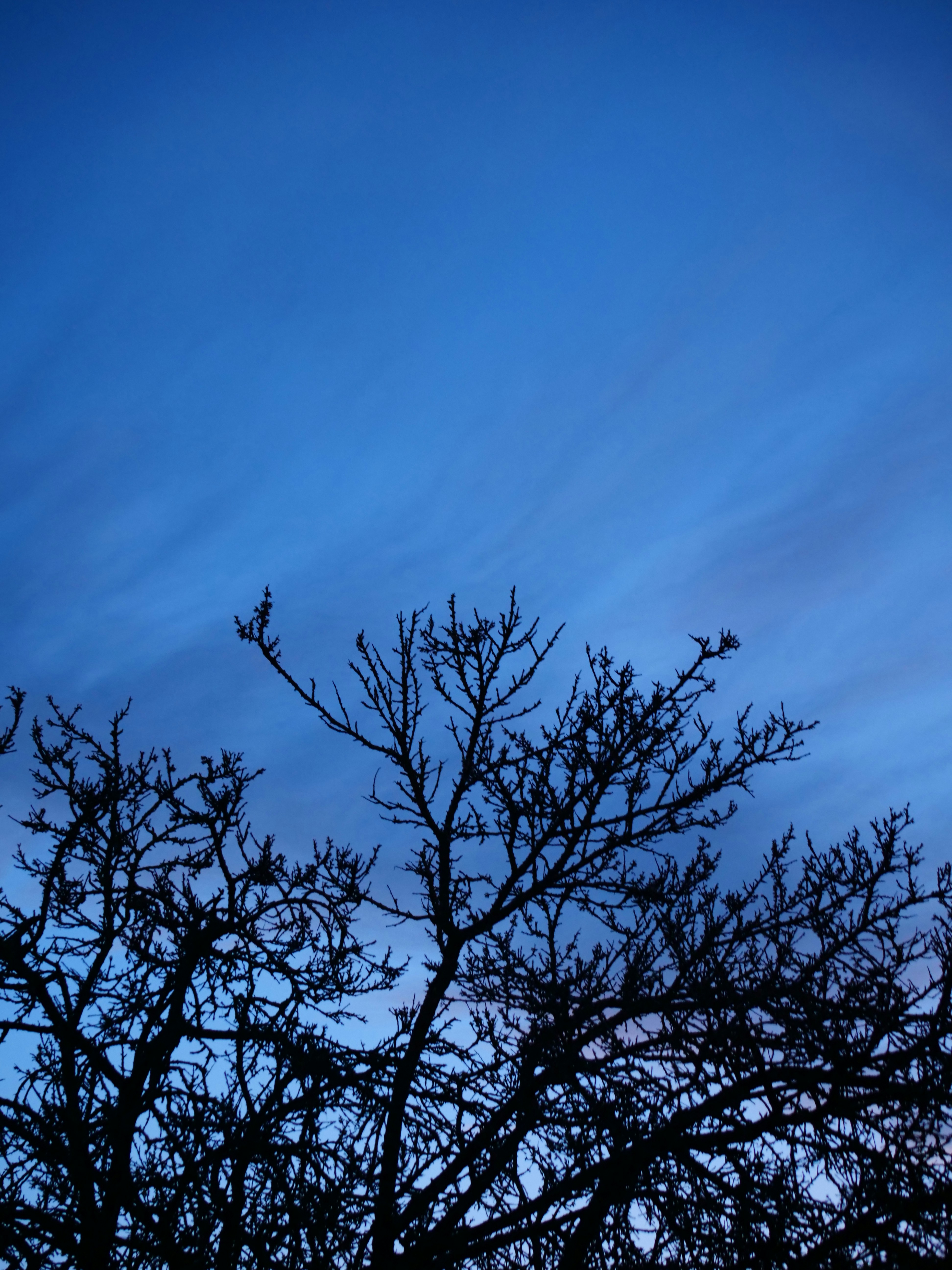 Photo by nimbus_vulpis