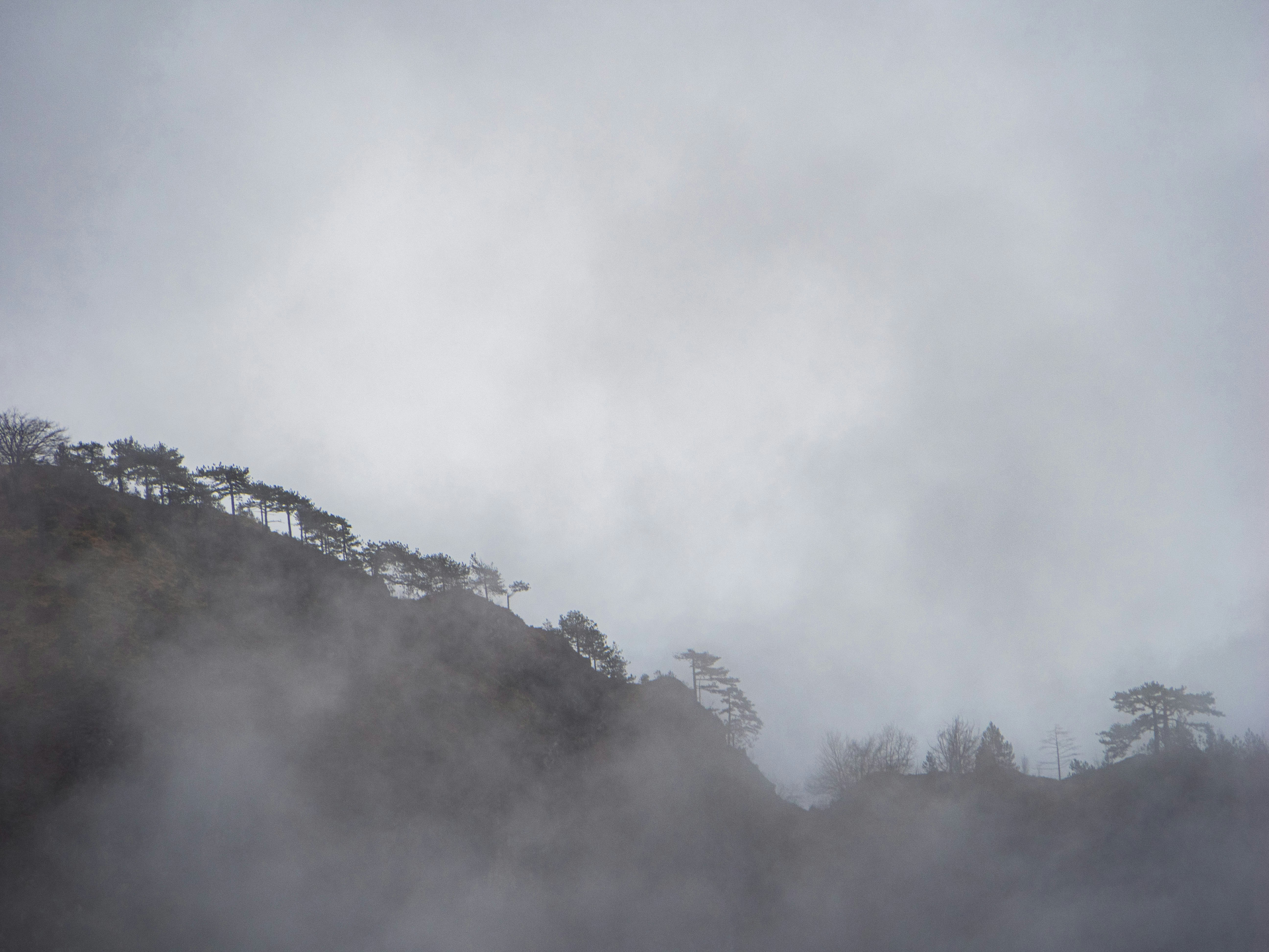 Photo by gopitri_prem