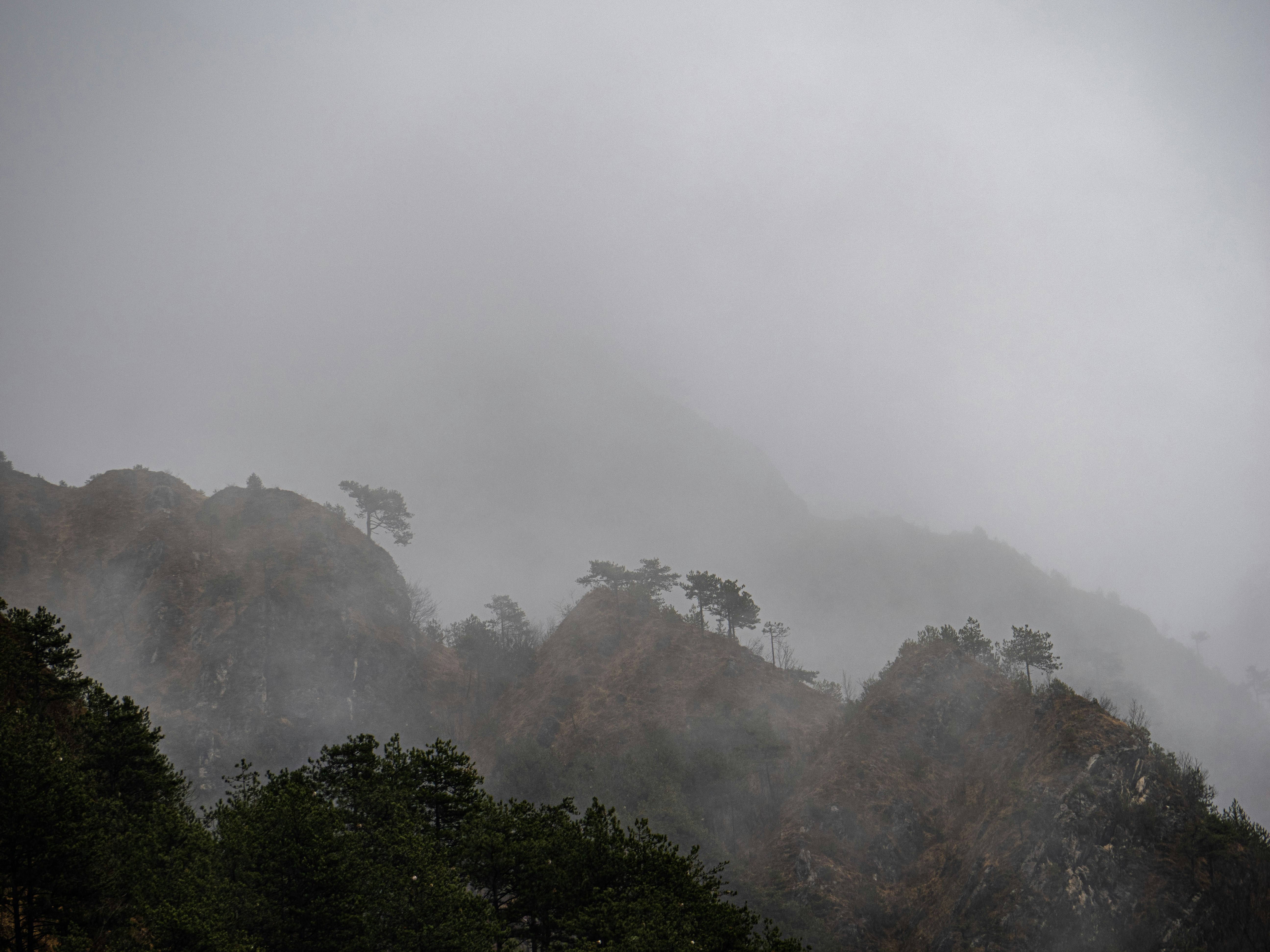 Photo by gopitri_prem