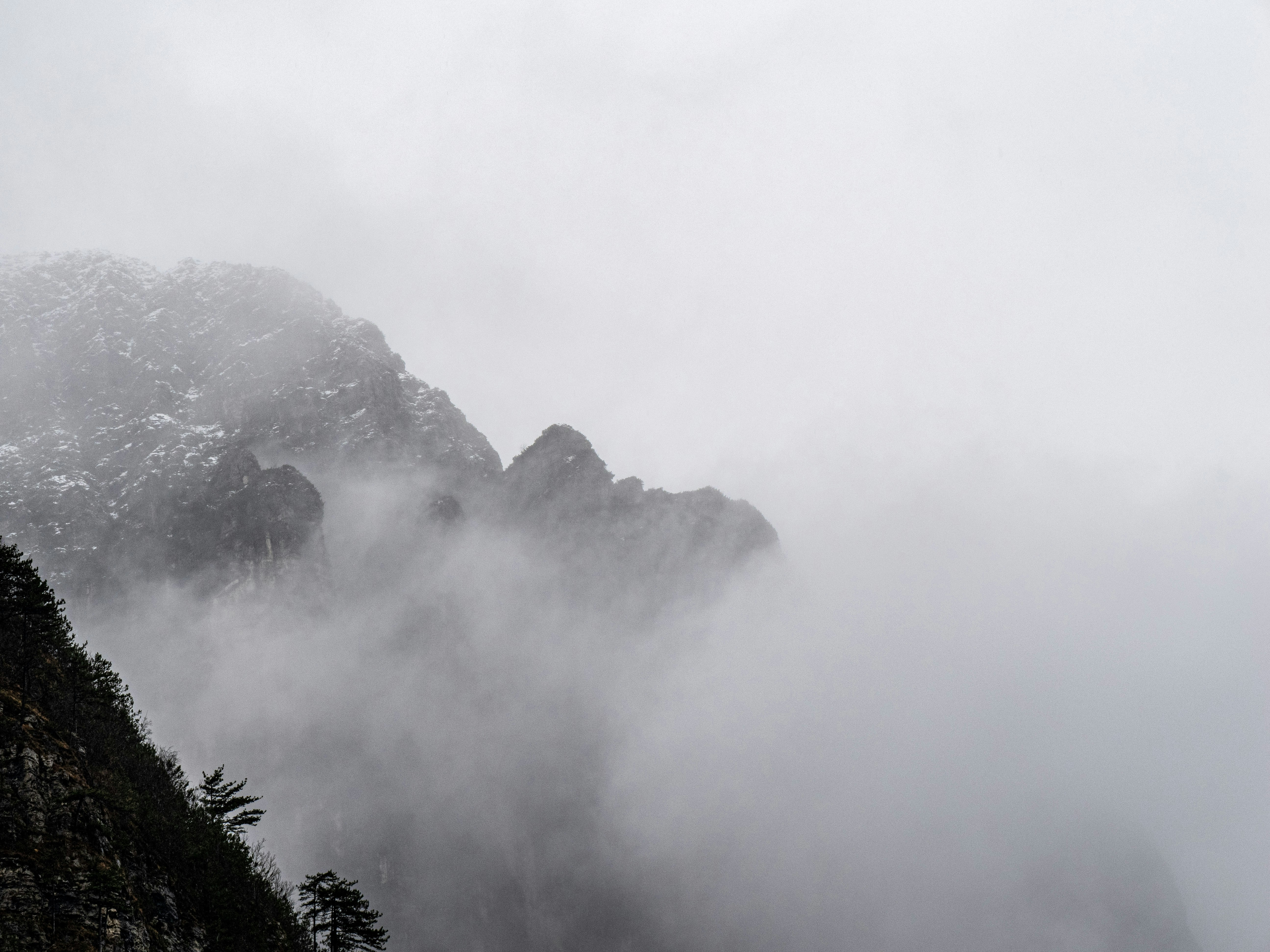 Photo by gopitri_prem