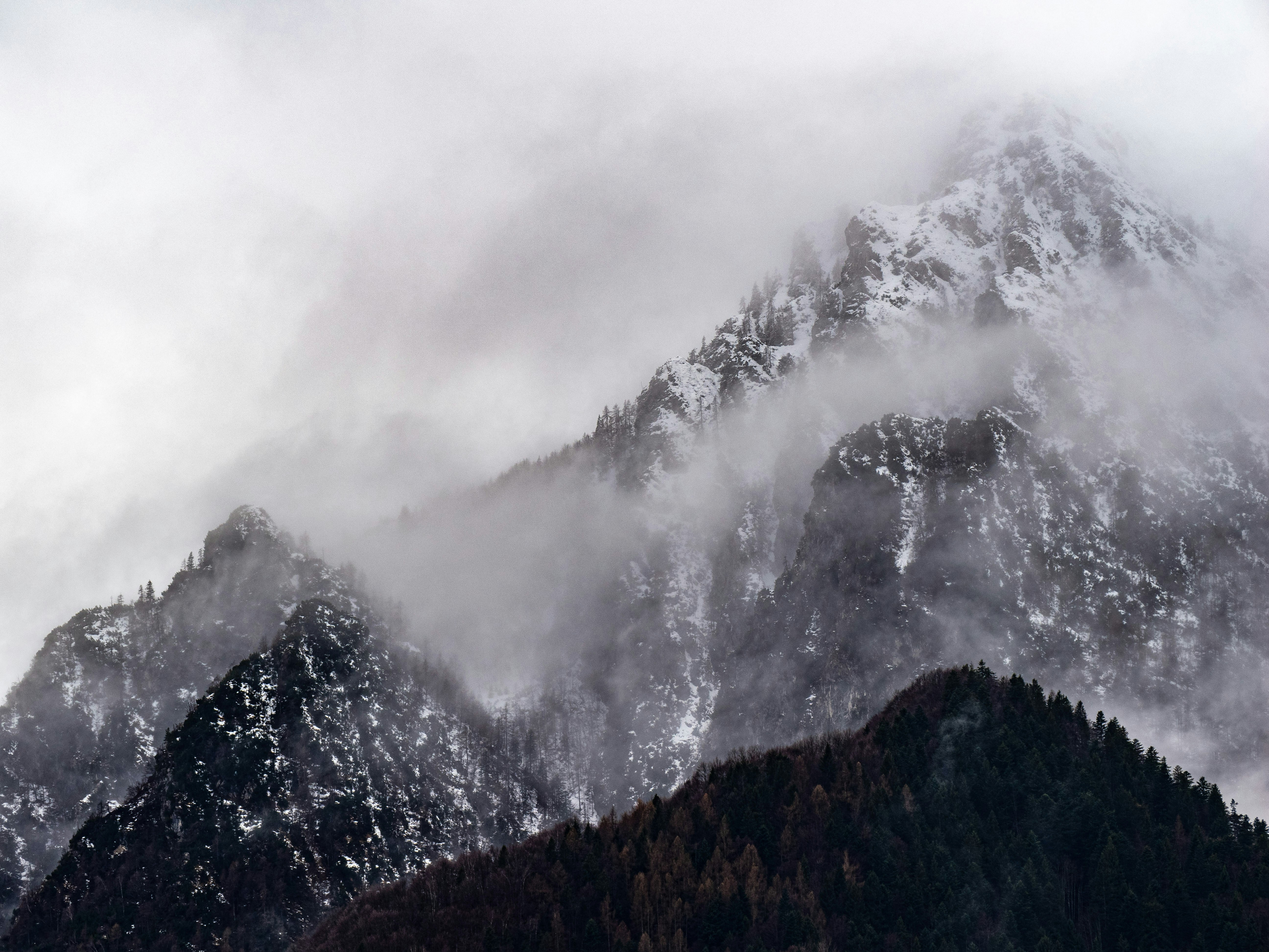 Photo by gopitri_prem