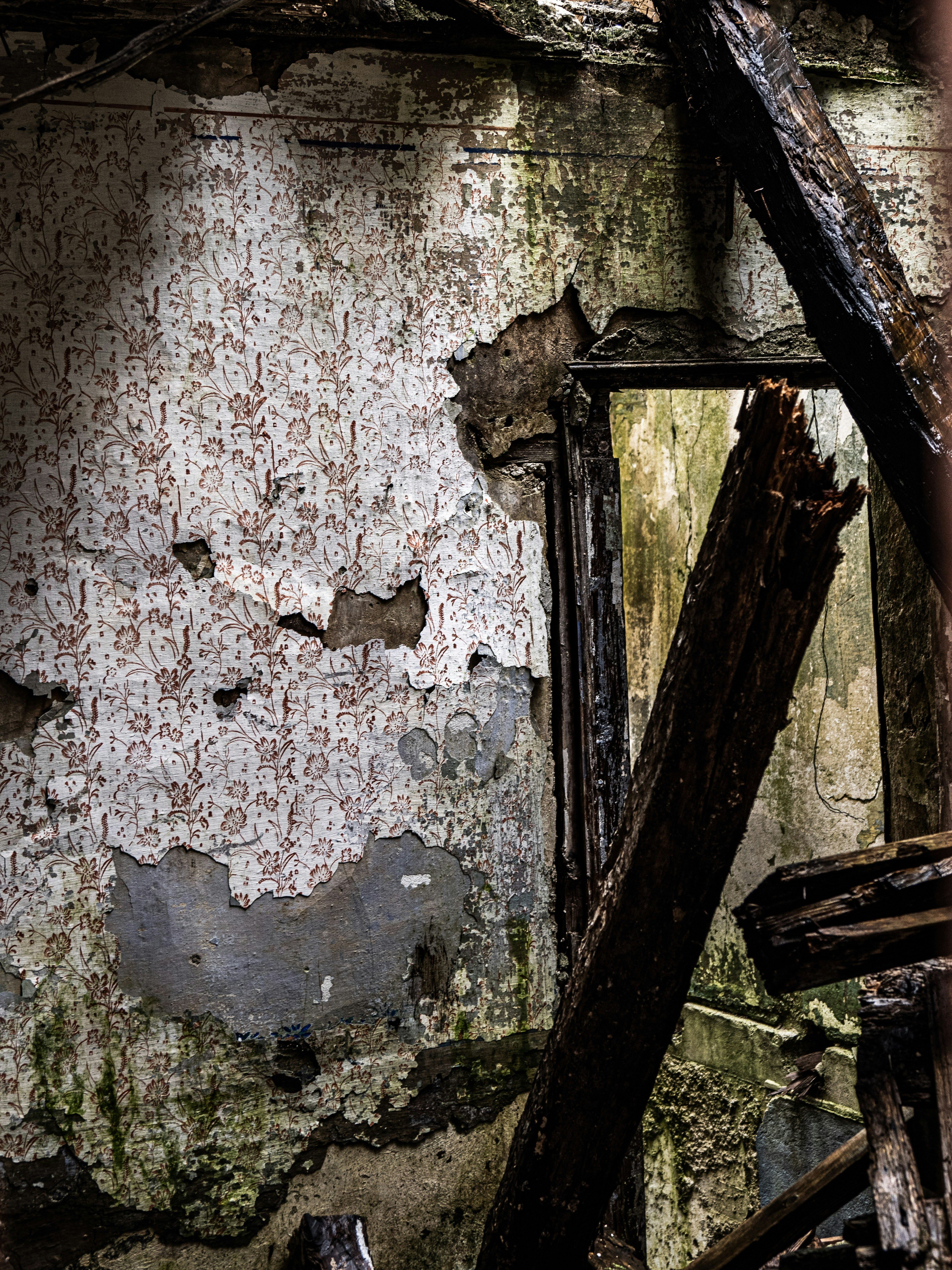 Photo by gopitri_prem