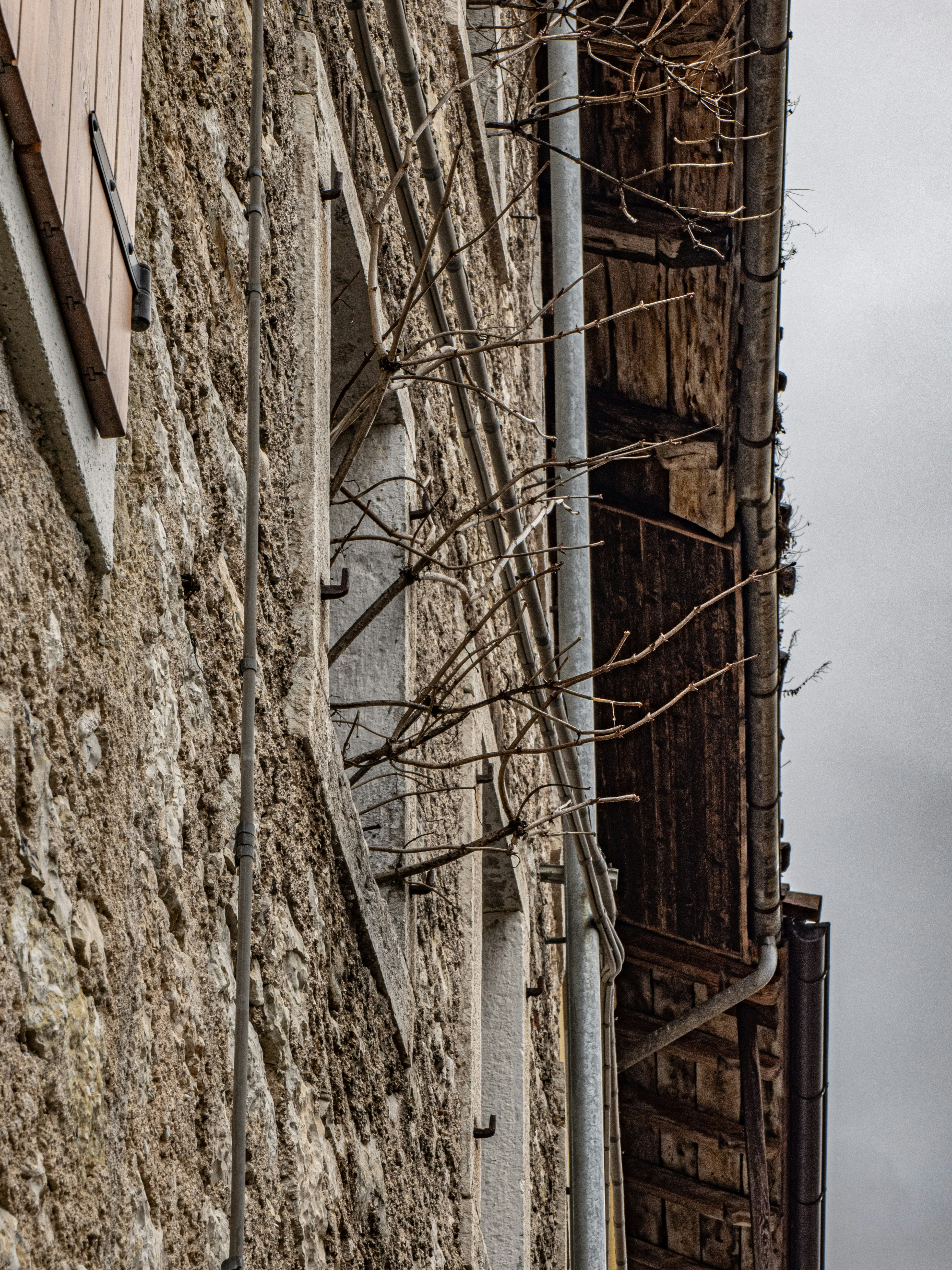 Photo by gopitri_prem