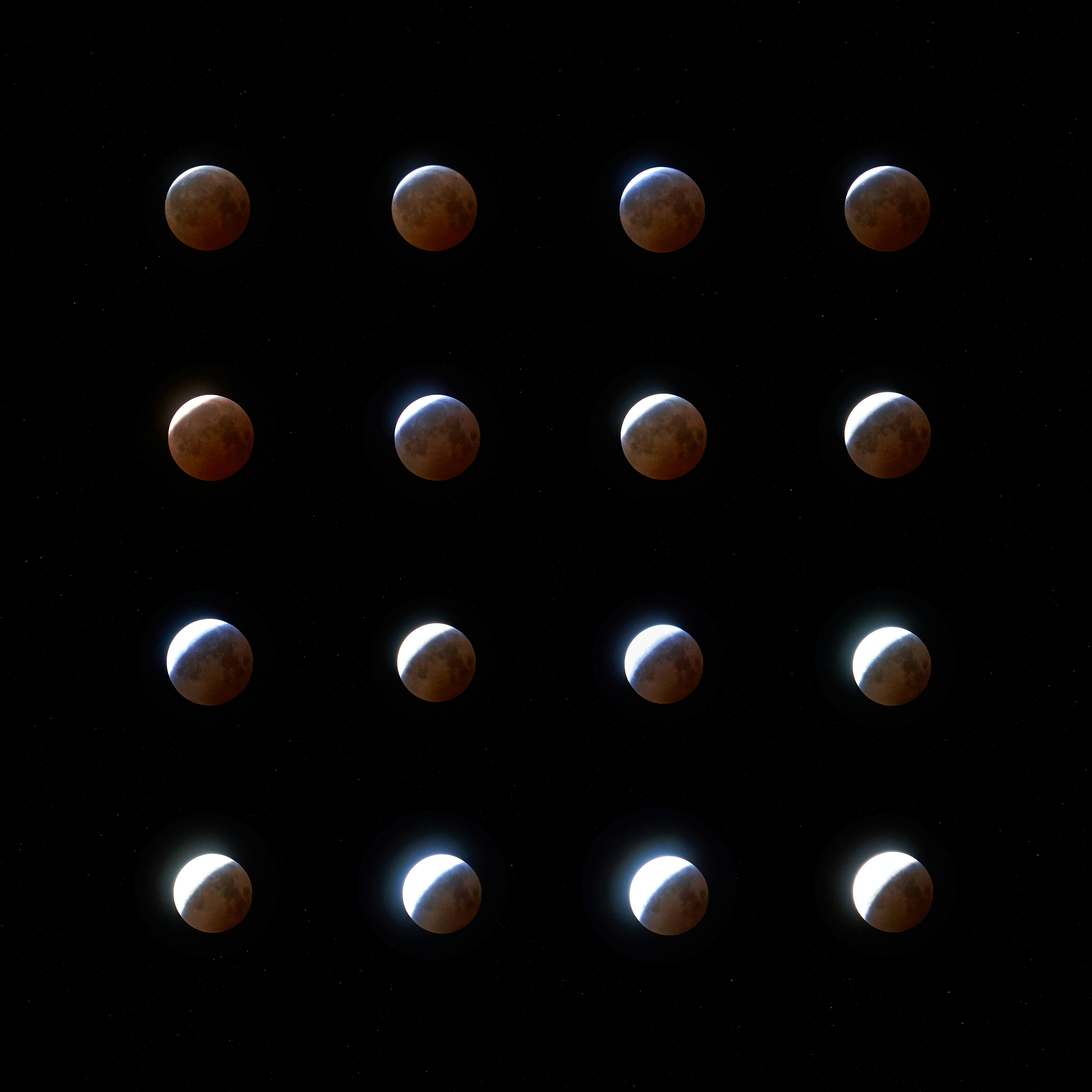 The lunar eclipse is shown in stages.