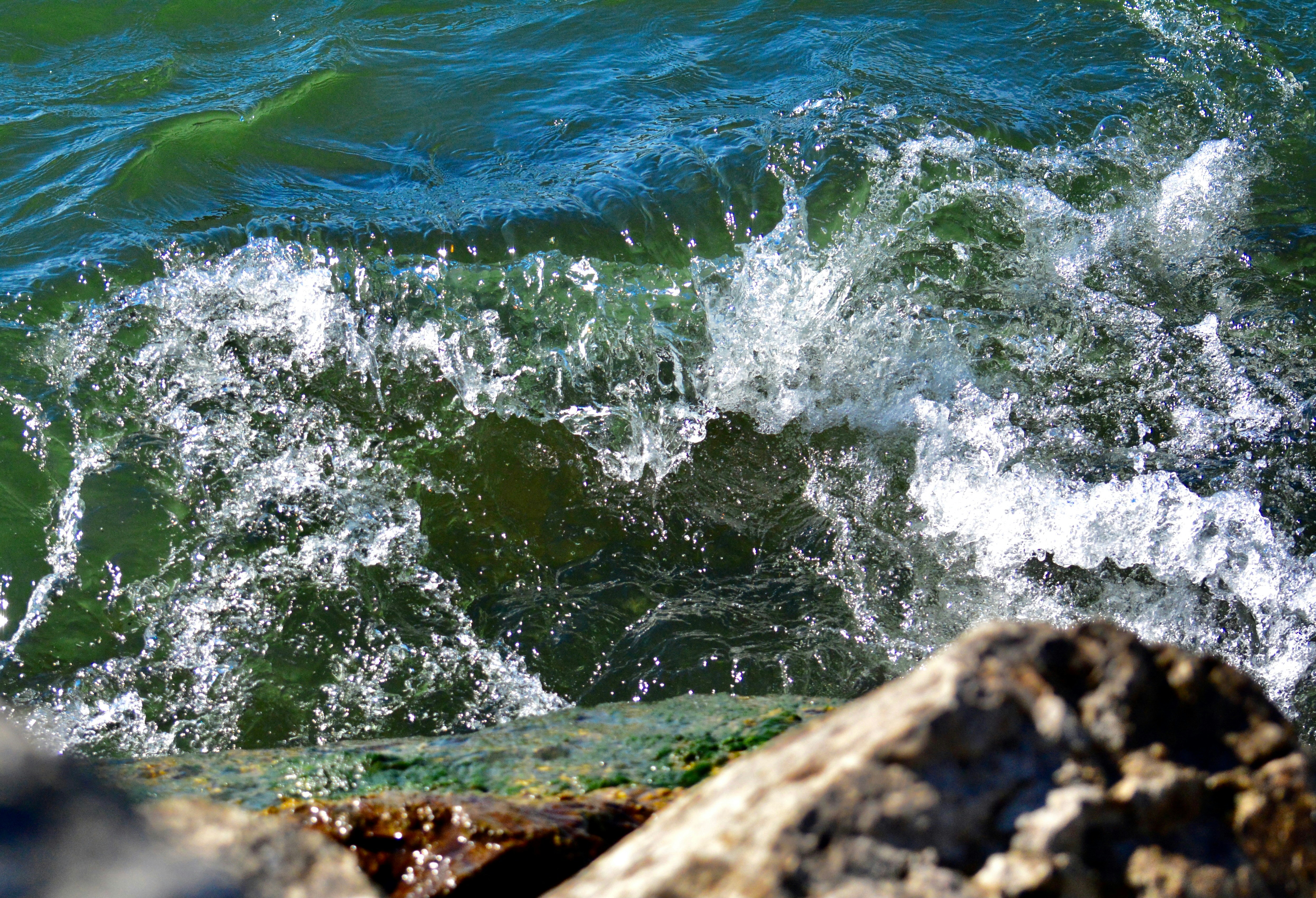 Photo by catherinelowman