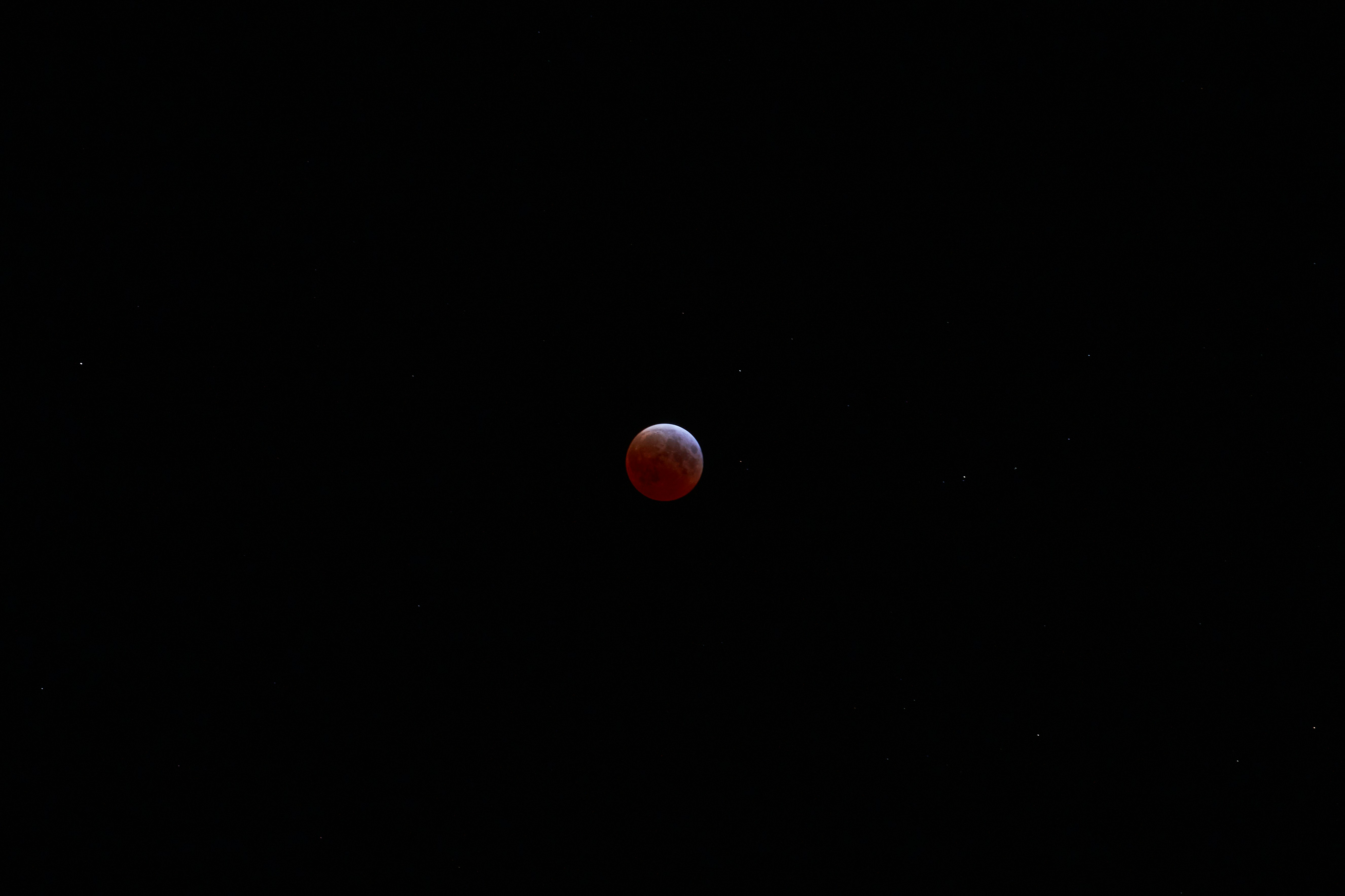 A stunning blood moon shines against the night.