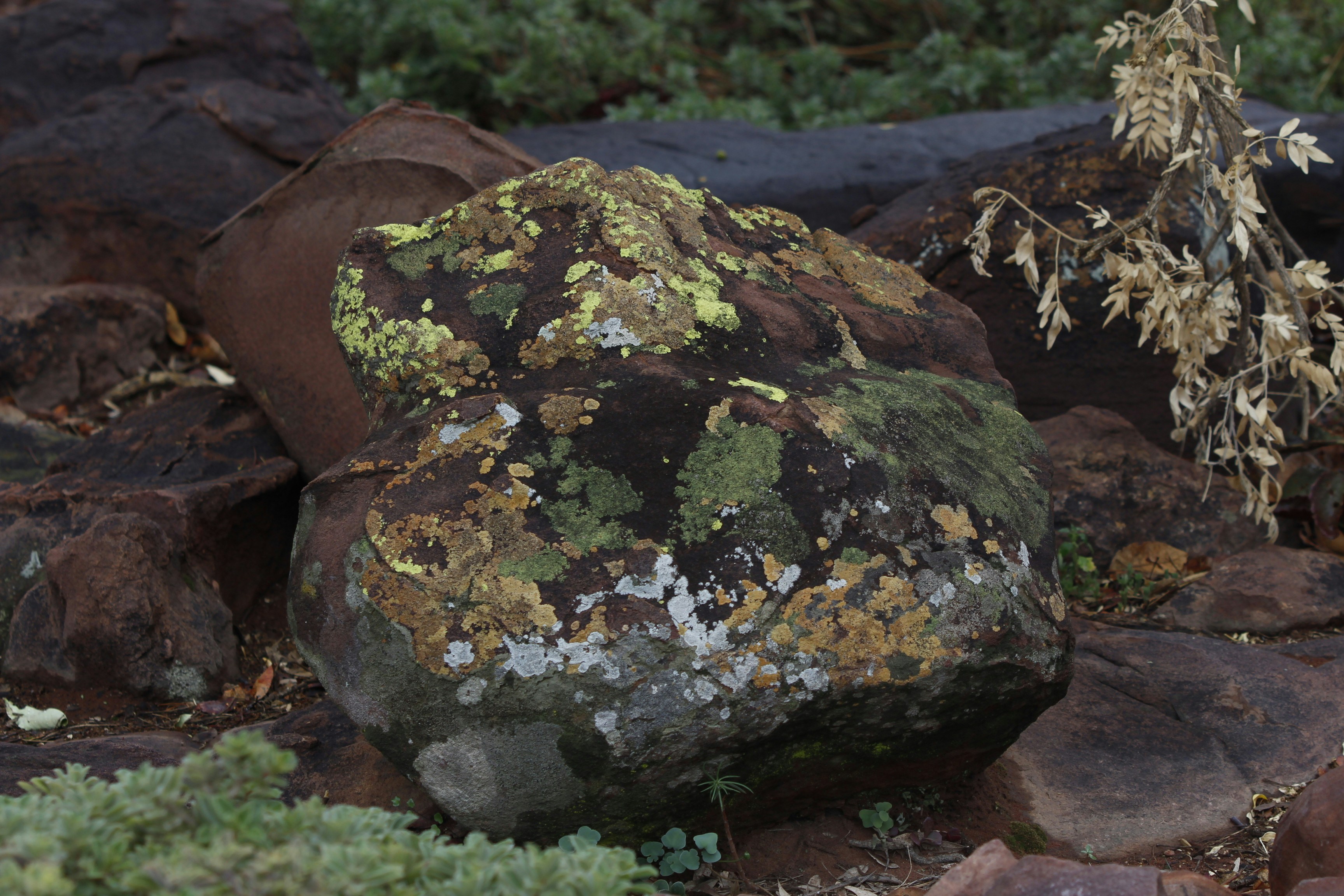 A mossy rock surrounded by other stones.